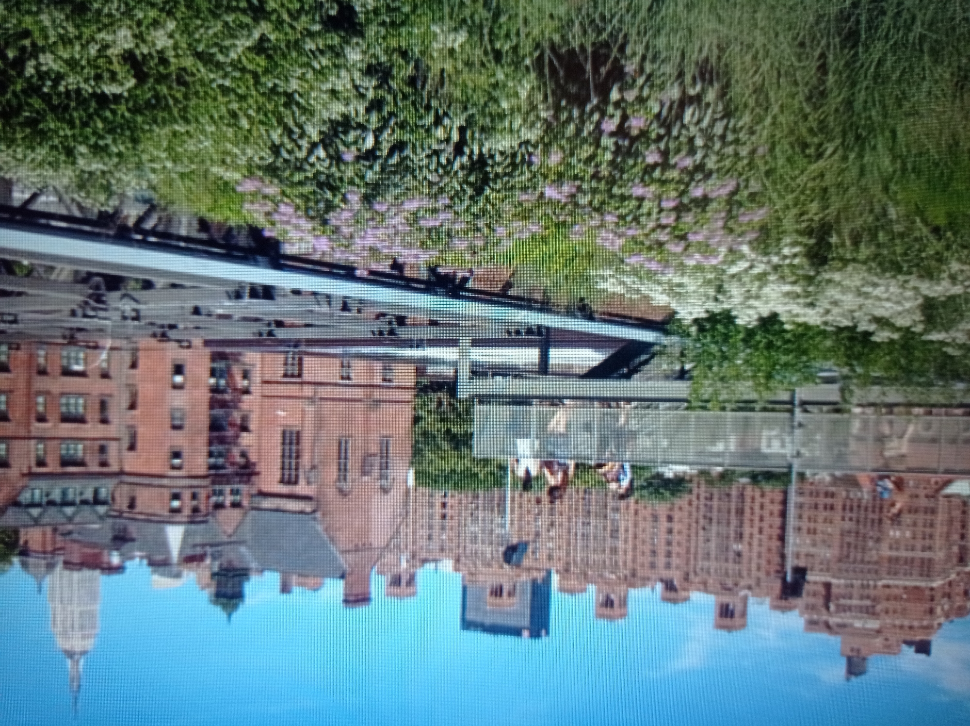 The image shows a city scene with a sky filled with blue. In the foreground, there is lush green vegetation with some pink flowers. Above the vegetation, there is a raised walkway or bridge with several people walking on it. Beyond the walkway, there are buildings of various architectural styles and heights, some made of red brick and others appearing more modern. In the background, a very tall, spire-topped building, resembling the Empire State Building, is visible. The scene appears to be a park or elevated walkway within a city.
This scene is not located in Mukachevo, Ukraine. The presence of buildings and the overall urban landscape strongly suggest a city in North America, most likely New York City, given the recognizable skyscraper in the background.