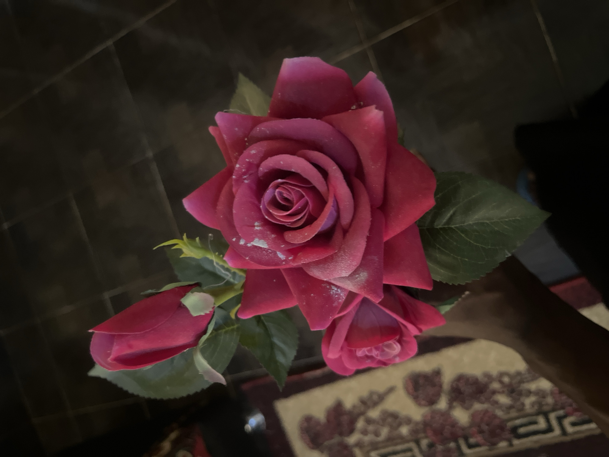 In Barakin Akawo, Nigeria, a close-up shot focuses on a bouquet of three artificial pink roses, two fully bloomed and one bud, held by a dark-skinned hand. The roses display subtle white speckles across their petals. One rose is positioned prominently in the foreground, with another partially visible beneath it. The background is dark and indistinct, featuring what appears to be a dark tiled floor and a section of a patterned rug.