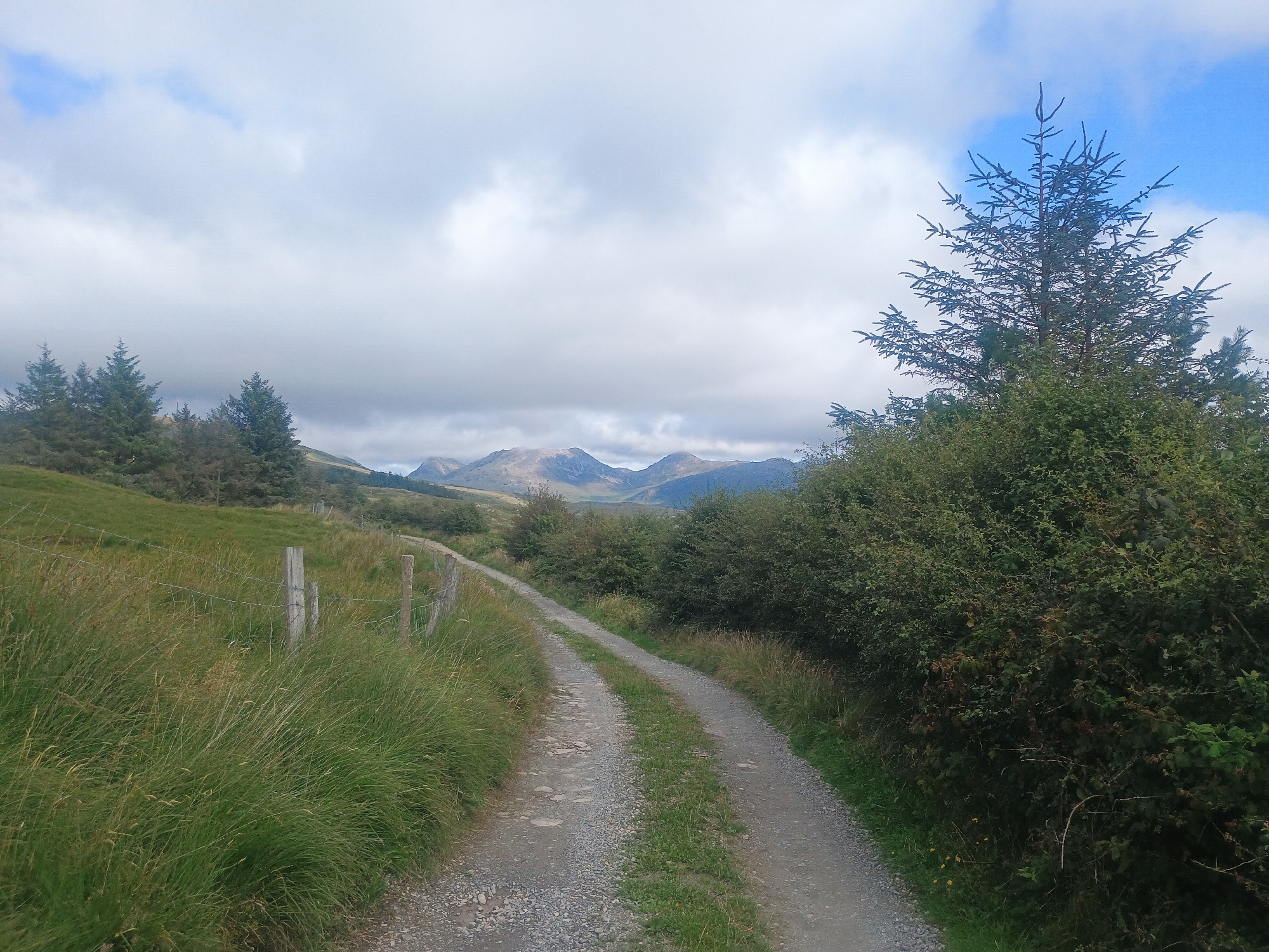 A gravel road winds through a grassy hillside in a rural area with mountains in the distance. The sky is cloudy with patches of blue. To the right of the road is a dense thicket of bushes and a tall evergreen tree. To the left of the road is a grassy slope with a barbed wire fence. The scene is picturesque and tranquil.