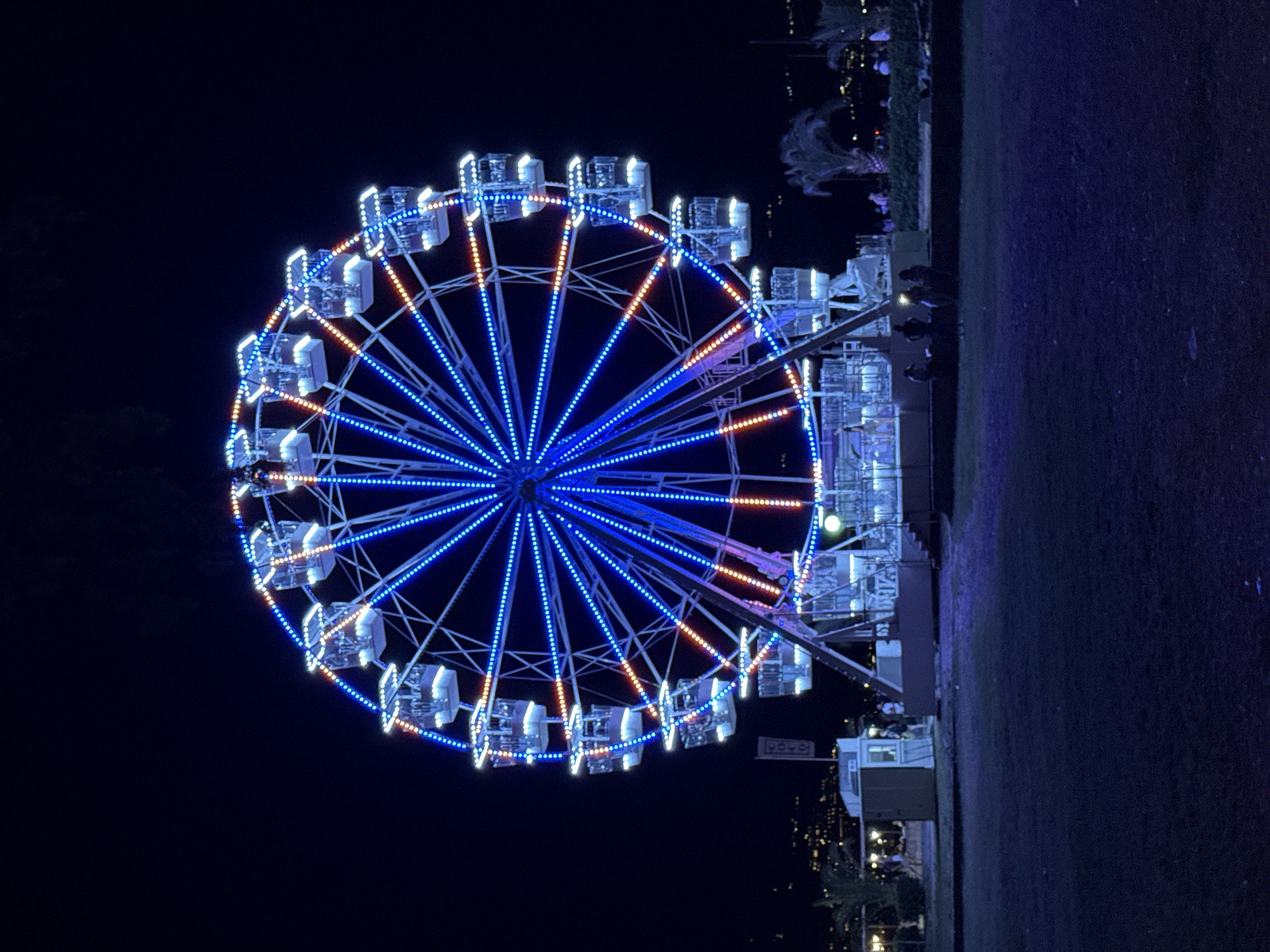 A Ferris wheel is illuminated with blue and orange lights against a dark night sky. The Ferris wheel has multiple gondolas and is the primary focus of the image. In the foreground, there is a grassy area with a few silhouetted figures. In the background, there are some buildings, palm trees, and more distant lights that suggest a cityscape. The scene appears to be an outdoor amusement area or promenade, likely in a coastal city given the palm trees and distant lights that could be from a harbor or beachfront. The overall impression is one of a festive evening atmosphere.