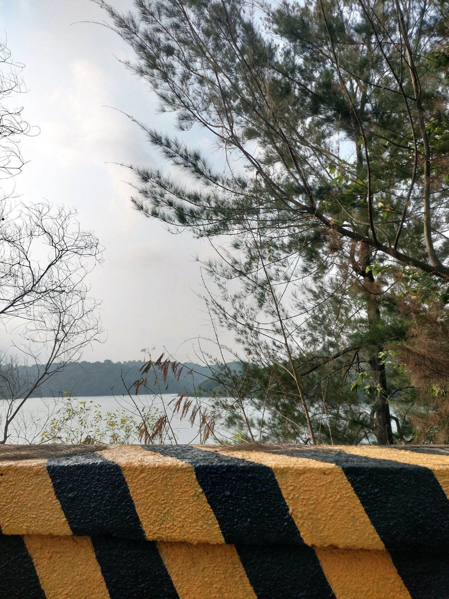 The image depicts a view of a body of water, likely a lake or reservoir, framed by trees and a barrier in the foreground. The barrier is painted with black and yellow diagonal stripes, commonly used for hazard warnings. The trees are a mix of sparse, bare branches and denser foliage. In the background, a treeline forms the edge of the land across the water, under an overcast sky. The scene appears to be outdoors, possibly in a park or recreational area. While the location is stated to be Batam, Indonesia, there are no specific landmarks or identifiable features that would pinpoint the exact spot within the city. No people or actions are visible in the image.