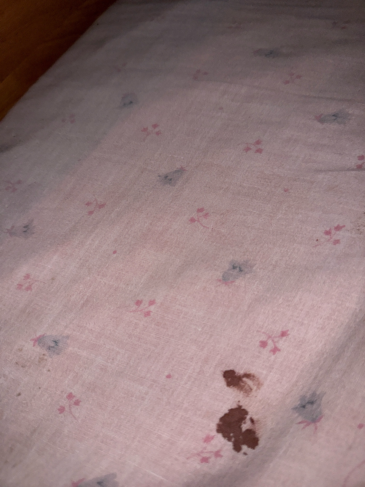 The image shows a close-up view of a light pink fabric, possibly a bedsheet or blanket, with a small floral pattern in a lighter pink. There are several smudges and stains on the fabric. Two prominent dark brown stains are visible in the lower right quadrant of the image. There are also smaller, lighter blue or gray smudges scattered across the fabric, as well as some faint pink markings that appear to be part of the original pattern. The fabric appears slightly wrinkled. The lighting suggests an indoor environment, but no specific location within Zavolzhye, Russia, can be determined from the image itself.