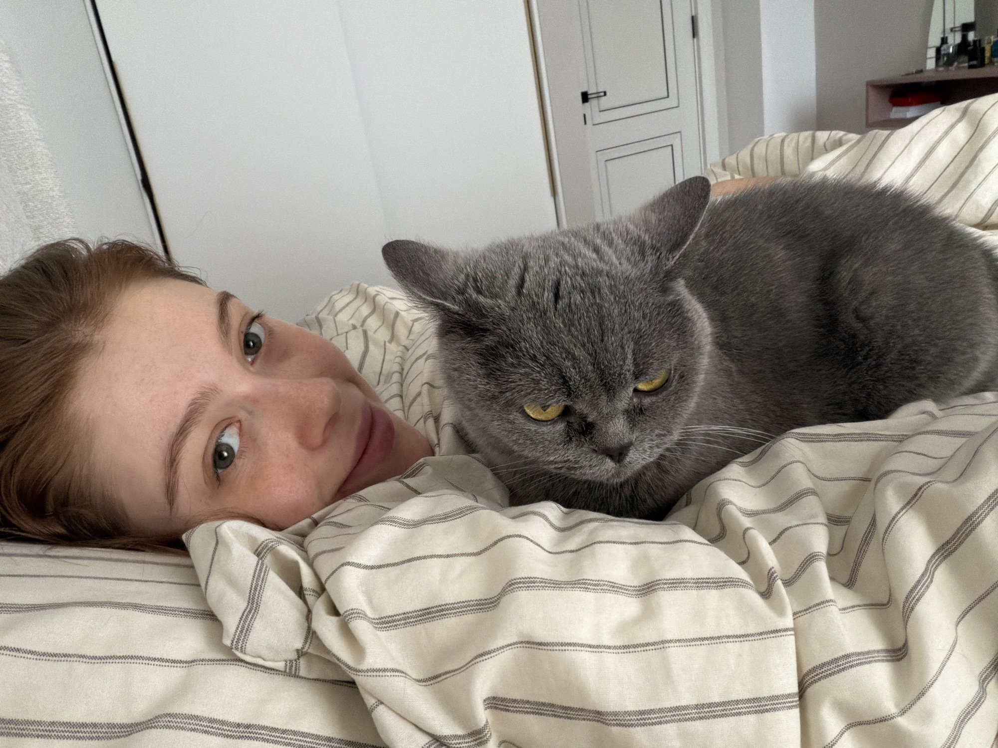A woman is lying in bed next to a gray cat with yellow eyes. The bed is covered in a striped beige and gray blanket. The woman has red hair and freckles. Behind the woman and cat is a white door with a black handle and trim and a light beige wall. A shelf with perfume bottles is visible in the upper right corner of the image. This image cannot be definitively identified as being taken in the city of Tbilisi, Georgia.