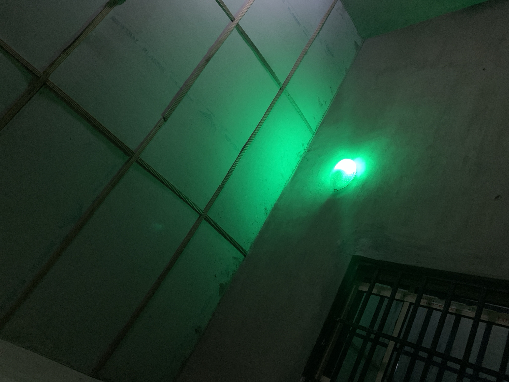 The image shows a dimly lit interior space with a green light source. The ceiling is constructed with wooden beams and white panels, creating a grid-like pattern. A single bright green light bulb is visible, illuminating the surrounding wall and ceiling with a vibrant glow. To the left of the image, a window with dark metal bars is present, suggesting it may be a secured or interior window. The walls appear to be made of concrete or a similar rough material. The overall ambiance is dark and slightly eerie due to the pervasive green light. There are no people or animals visible in the scene. The location is unknown, as no identifying features of a city or specific place are discernible.