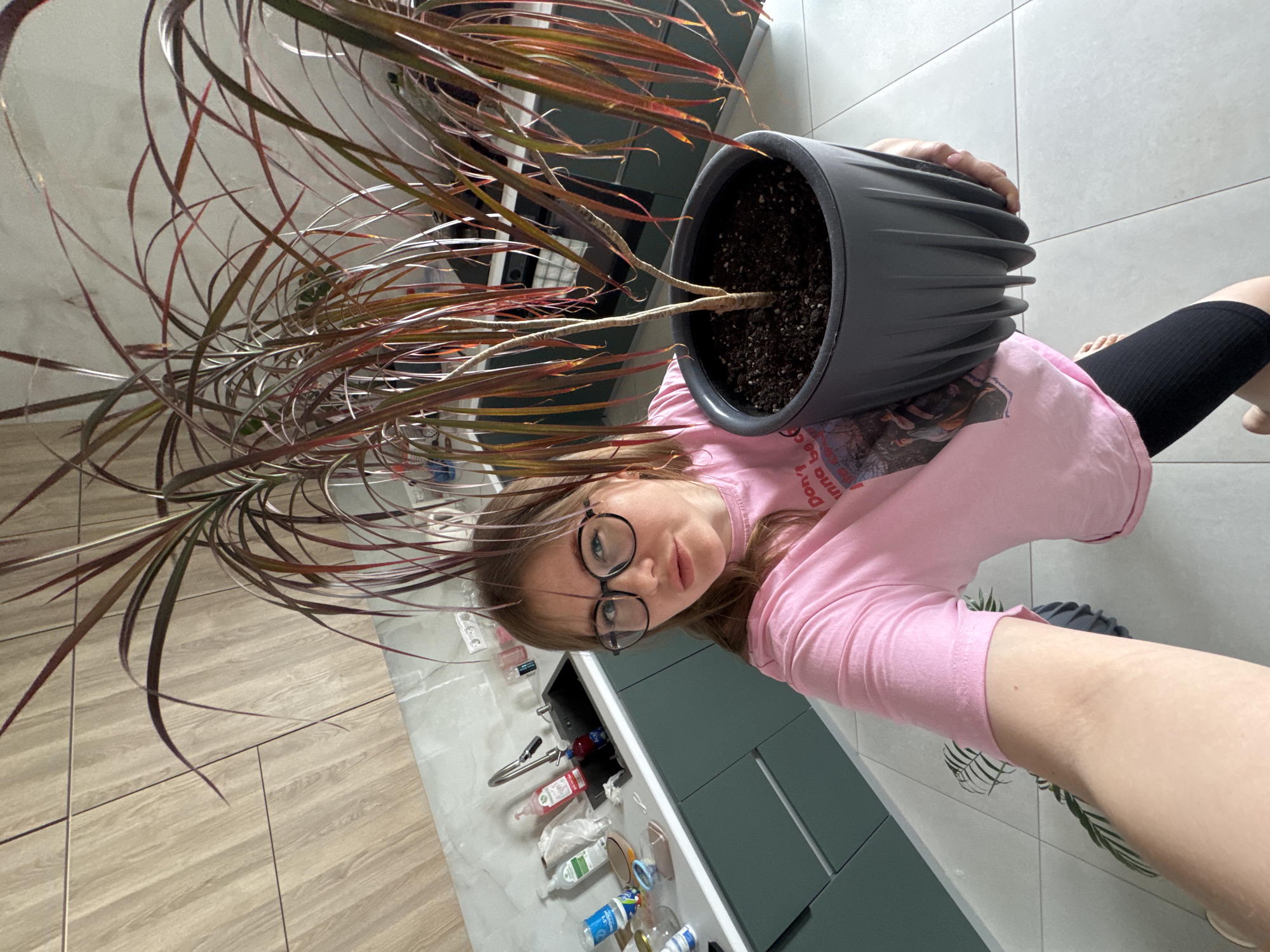 The scene depicts an interior kitchen setting in Gornyi (Dvurechenskoe S/P), Russia. A female individual, appearing to be in her twenties or thirties, is positioned centrally, holding a large potted plant. She has light skin, long brown hair, and wears round, dark-framed glasses. Her attire consists of a pink short-sleeved t-shirt with a dark graphic print on the front and black ribbed leggings or shorts extending to just above the knee. Her left arm is extended towards the camera, and her right hand supports the base of the plant pot. Her expression is neutral with slightly parted lips, and her nails display light pink polish.
The plant, appearing to be a Dracaena species, has multiple stems and numerous long, thin leaves displaying reddish-brown and green coloration. It is planted in a dark grey, ribbed plastic pot containing dark soil.
The background shows a modern kitchen. To the left of the individual, a light grey speckled or marble-patterned countertop is visible, atop dark teal-green matte base cabinets. A black composite sink with a chrome single-handle faucet is present, surrounded by various items including red and clear soap dispensers, a blue bottle, a small bowl, an empty glass jar, and white paper or cloth remnants. Above the countertop, a light grey backsplash contains a white double electrical outlet. The wall above the backsplash and to the right features light wood-grain panels with dark linear accents. The floor consists of large format light grey or white tiles with visible dark grout lines. Natural light illuminates the scene, likely from an unseen window.