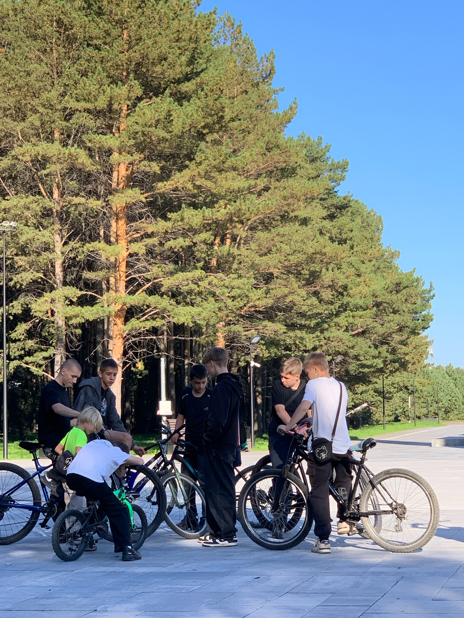 This image depicts a group of seven young males gathered around bicycles in an outdoor urban setting. The environment features a paved surface, large pine trees forming a dense background, and a clear blue sky. Several individuals are standing or leaning on their bicycles, appearing to be engaged in conversation or interaction. One younger boy is seated on a small bicycle. The people are dressed in casual attire, primarily t-shirts and pants. The scene suggests a casual gathering or activity involving bicycles, possibly in a park or public space. The location has been identified as Prokopyevsk, Russia.