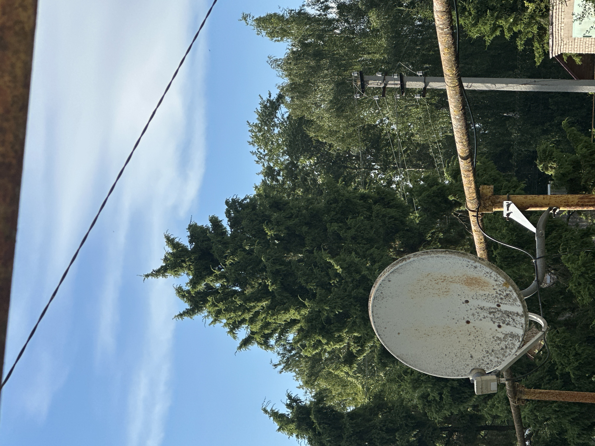 The image depicts an outdoor scene in Gavrilov Posad, Russia, under a bright blue sky with thin white clouds. In the foreground, a rusty metal pipe runs horizontally across the frame, supporting a weathered, off-white satellite dish on the left side. The satellite dish is visibly stained and corroded. Behind the dish and pipe, a dense line of various green trees dominates the midground, with a prominent tall evergreen tree on the left and other deciduous trees to the right. A concrete utility pole with insulators and wires is visible behind the trees on the right. A thin black wire stretches diagonally across the upper portion of the image. The lower right corner shows a section of a brick building with a green element.