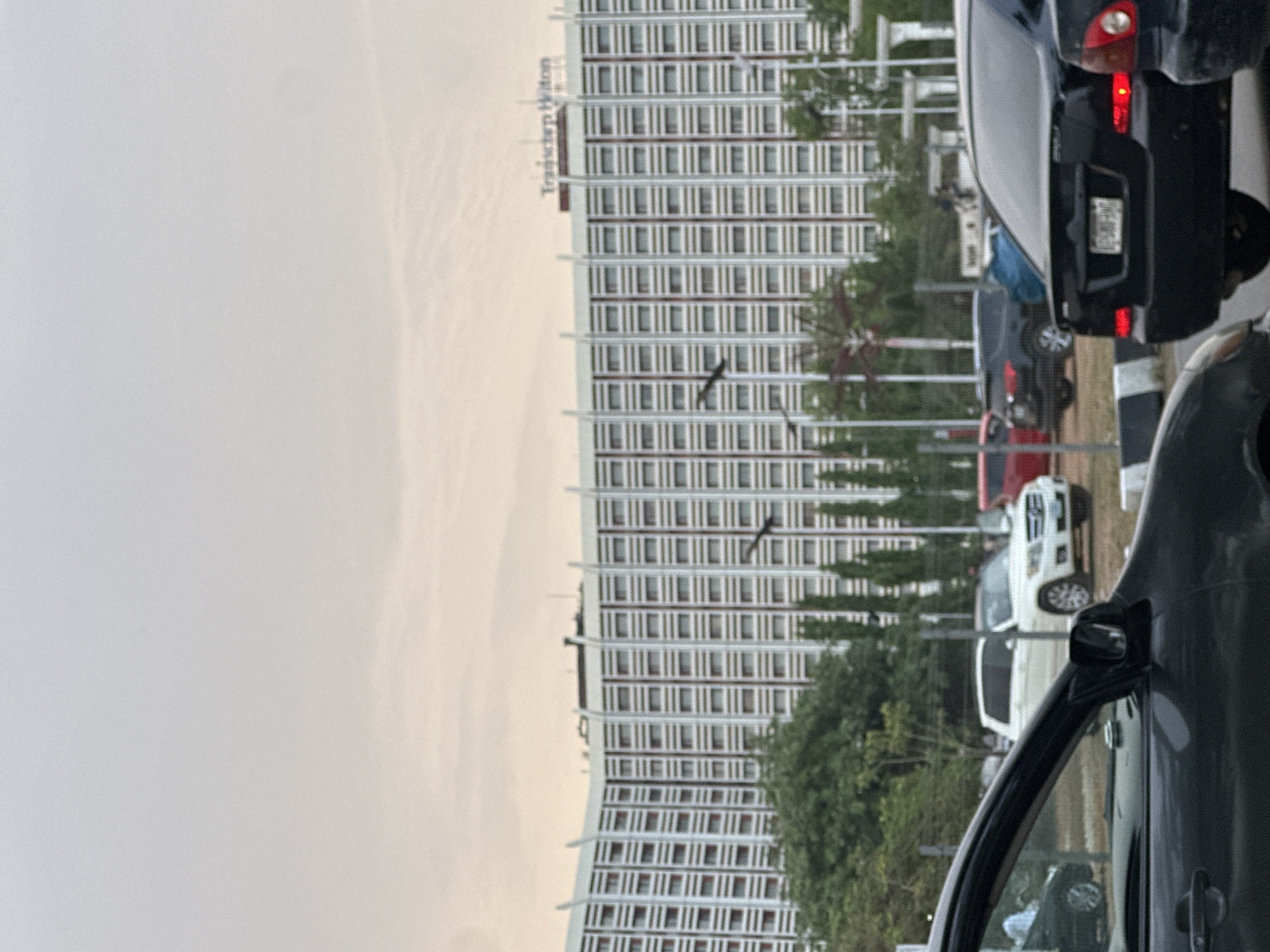 The image shows a street scene in Abuja, Nigeria, dominated by the Transcorp Hilton Abuja hotel. The hotel is a large, white building with many windows. In the foreground, there are several cars in a traffic queue. The sky is overcast. The presence of the Transcorp Hilton Abuja identifies the location.