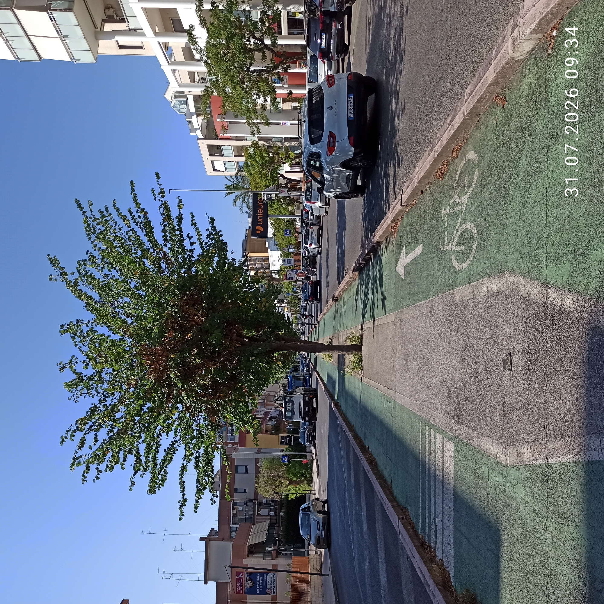A street scene in Modugno, Italy, depicts a wide road with a dedicated green lane for bicycles on the left side of the image, marked with a bicycle symbol and an arrow. A tree stands in the middle of the paved pedestrian area separating the bike lane from the road. Multiple vehicles are on the road, including cars and a truck, moving in the same direction. Buildings line the right side of the street, featuring modern architecture with balconies and windows. The sky is clear and blue. The timestamp "31.07.2026 09:34" is visible in the lower right corner.