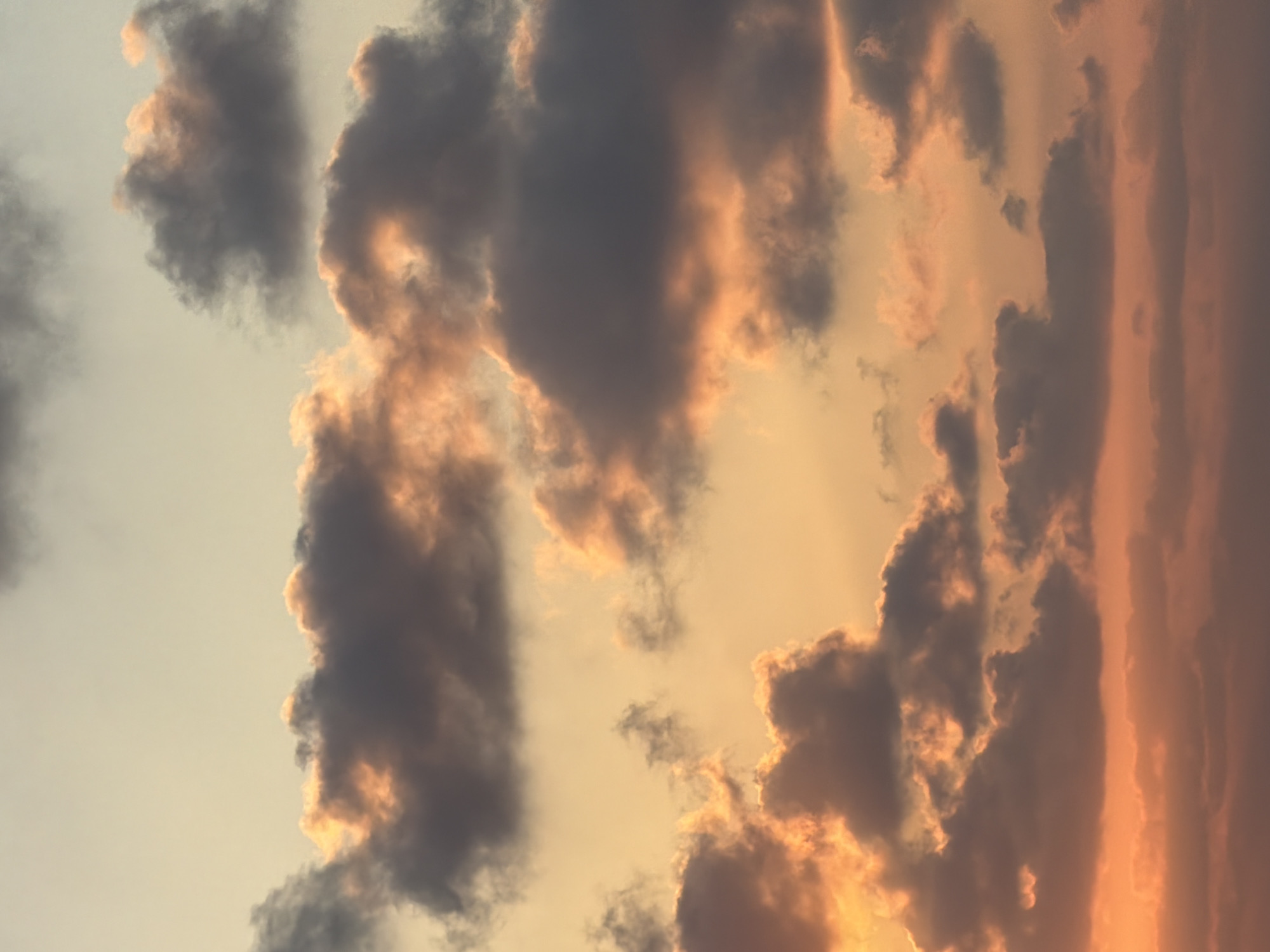 The image is a close-up, vertical shot of a sunset sky filled with clouds. The clouds are a mix of dark gray and vibrant orange, illuminated by the setting sun. The sky transitions from a pale yellow at the top to a warm orange and pink hue at the bottom, suggesting the sun is low on the horizon. There are no people, structures, or other elements visible in the frame, only the atmospheric display of clouds and sky. The image provides no information about its location in Tel-Aviv, Israel, or any specific context.