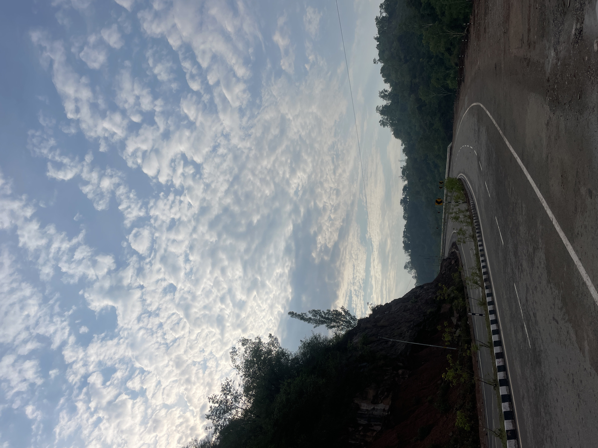 The image shows a winding road in a hilly area, likely in Trilokpur, India, as indicated by the presence of lush green hills and a cloudy sky typical of the region. The road curves to the right, with a steep, rocky embankment on the left side covered with dense foliage. Several young trees are planted along the side of the road, and warning signs are visible. The sky is filled with scattered, white, fluffy clouds against a pale blue backdrop. The overall scene suggests a scenic route with natural beauty, possibly during morning or late afternoon given the lighting. There are no people or animals visible in the frame.