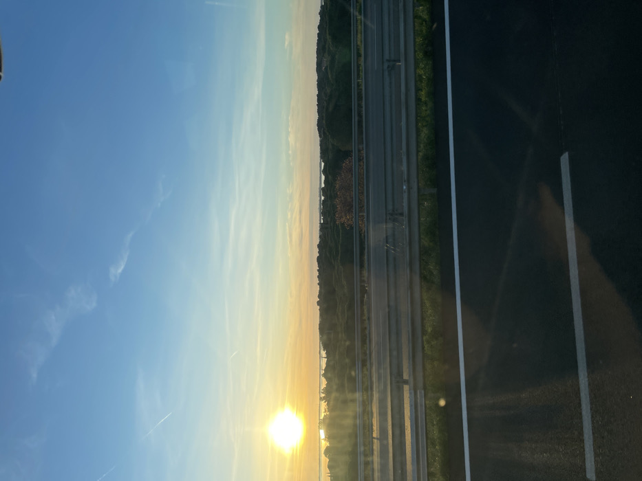 The image presents a panoramic view from a moving vehicle on a multi-lane highway near Fitou, France, at either sunrise or sunset. The foreground displays a dark asphalt roadway with a continuous white shoulder line and a broken white lane divider. A two-tiered metal guardrail, approximately 1 meter high, runs parallel to the road, bordered by a strip of green grass. Beyond the guardrail, the mid-ground is dominated by a dense, uniform expanse of dark green trees, consistent with a pine forest. One tree with distinctive reddish-brown foliage is visible within this green canopy, positioned slightly right of the frame's center. In the background, a body of water, possibly a lagoon or the Mediterranean Sea, reflects the intense, circular glow of the sun, which is situated low on the left horizon. The sky transitions from a bright golden-orange hue at the horizon to a clear light blue, deepening to a darker blue overhead, with multiple faint white contrails from aircraft visible across the upper quadrants. No individuals or specific activities are depicted within the scene.