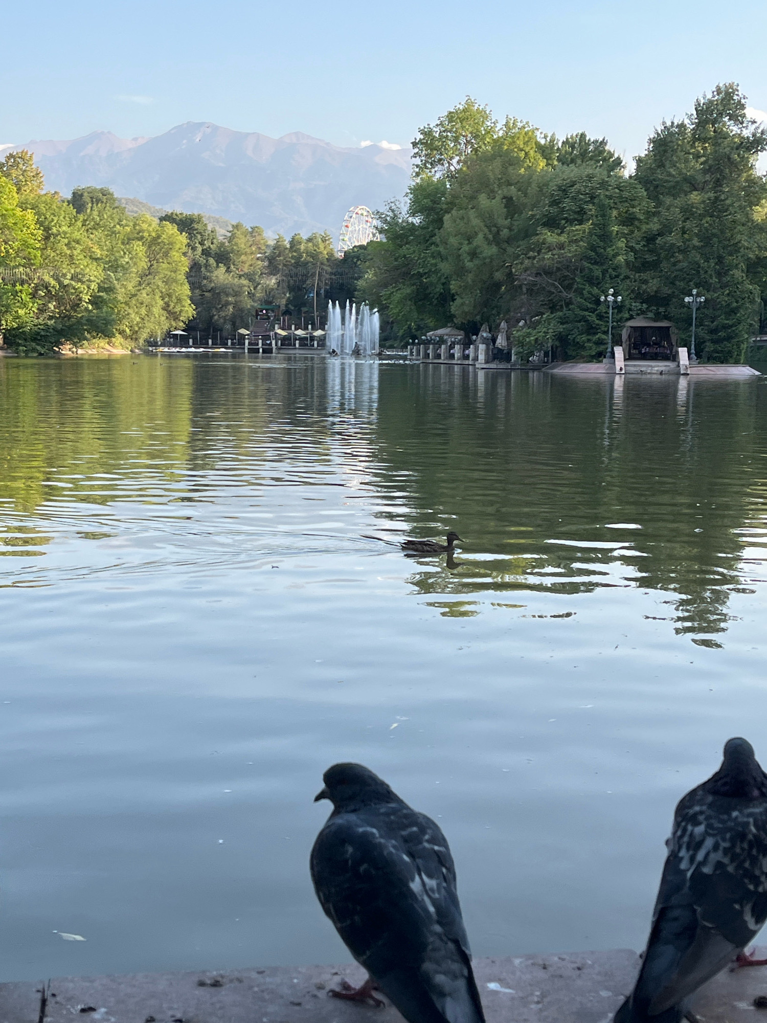The image depicts a serene park scene with a lake in the foreground and mountains in the distance. Two pigeons are perched on the edge of a stone embankment, looking out at the water. In the middle of the lake, a duck swims, creating ripples on the surface.
Beyond the lake, a fountain sprays water into the air, and several small boats are visible. Lush green trees line the shore, and a Ferris wheel can be seen in the background, suggesting the presence of an amusement park. The sky is clear and blue, with soft clouds. The overall atmosphere is peaceful and idyllic. This scene is characteristic of Gorky Park in Almaty, Kazakhstan, known for its expansive lake, verdant landscapes, and recreational facilities.