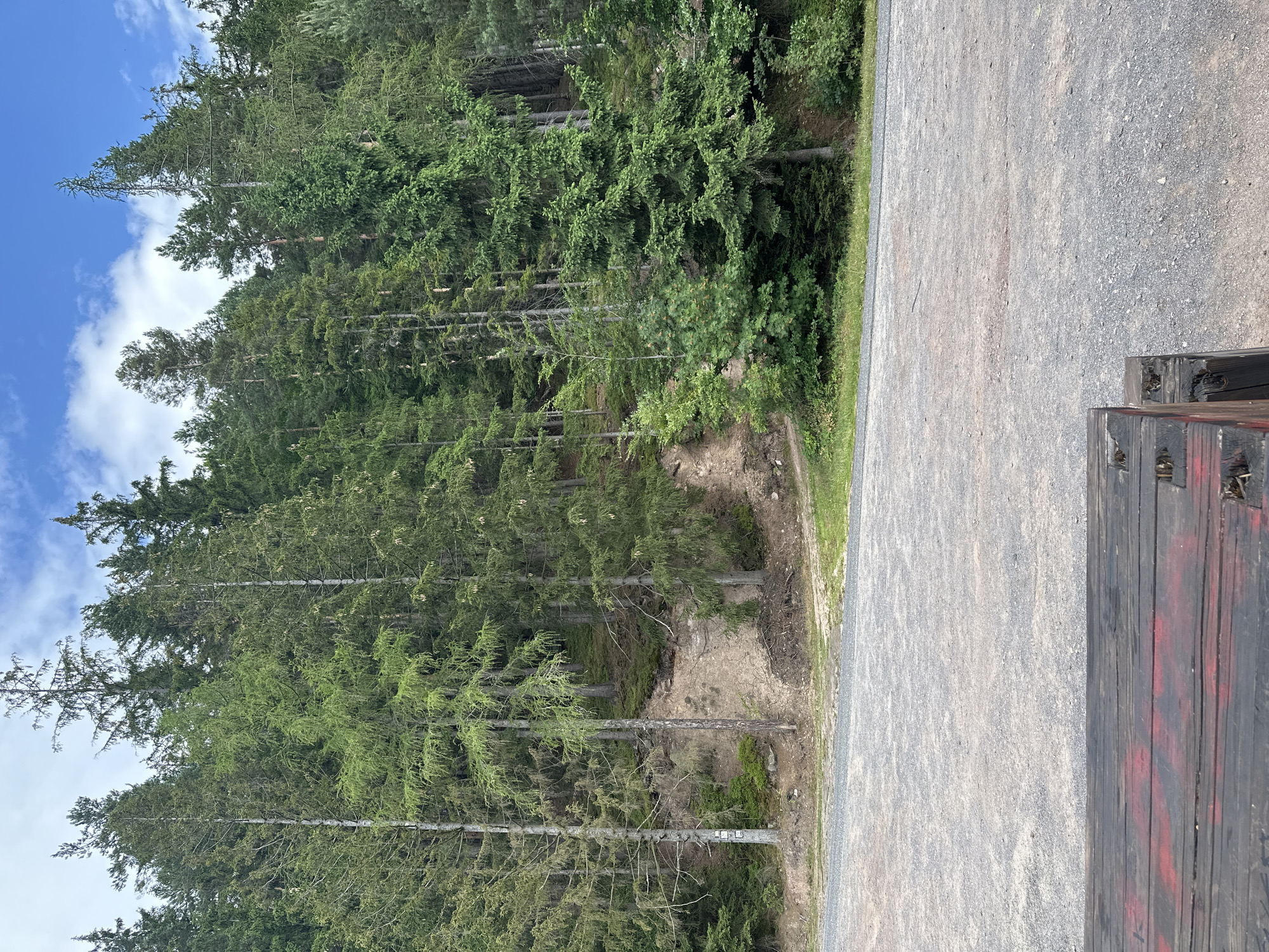 The image depicts a section of a forest with a gravel parking area in the foreground. The forest is dominated by tall evergreen trees with dense green foliage. The ground slopes upwards into the forest, showing exposed soil and some undergrowth. The sky above is blue with scattered white clouds. In the immediate foreground, the edge of a wooden structure, possibly a bench or a platform, is visible. The structure is made of dark, weathered wood with some red markings. The overall scene is natural and appears to be an outdoor recreational area. This location is consistent with the natural landscape surrounding Chełmsko Śląskie, Poland, known for its forests and hilly terrain.