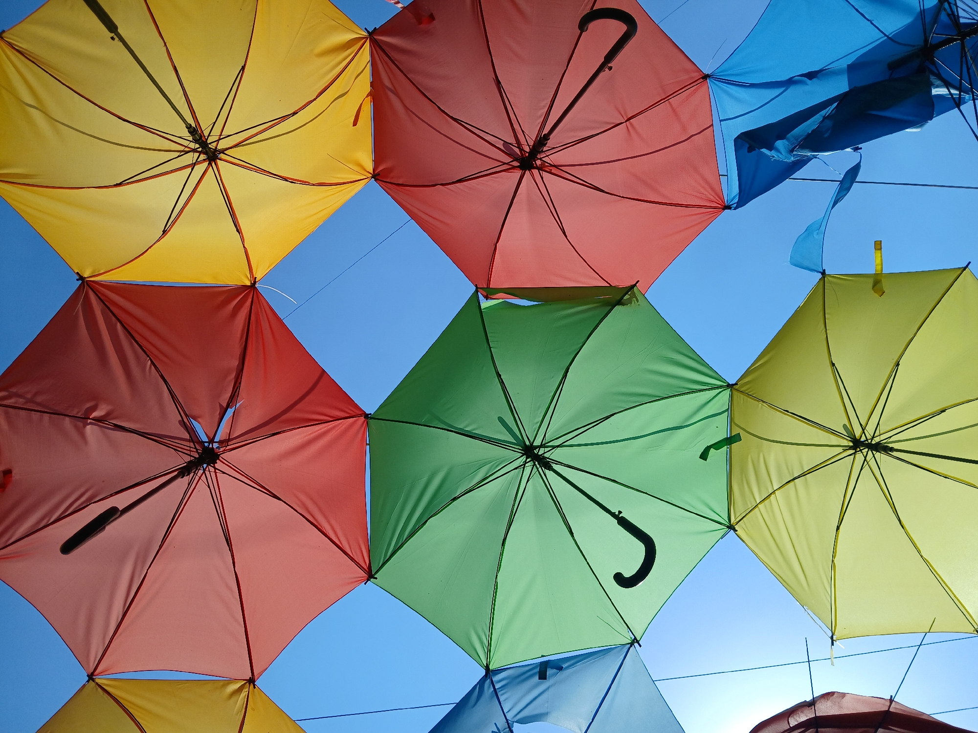 The image shows a view looking up at a display of colorful umbrellas in the city of Ciudad Guayana, Venezuela. The umbrellas are arranged in a grid-like pattern, with the bright blue sky visible in the gaps between them. The umbrella colors include yellow, red, green, and blue. The handles and support structures of the umbrellas are visible. Some of the umbrellas appear slightly damaged. Thin wires or strings stretch across the scene, likely used for hanging the umbrellas.
