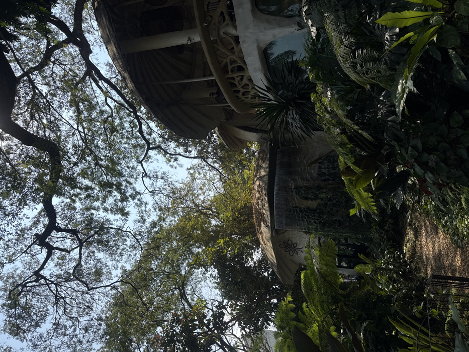 The photograph captures a unique architectural structure amidst lush greenery. A multi-tiered, organically shaped building dominates the scene, its surface adorned with decorative details. A dense array of tropical plants, including ferns and palms, surrounds the structure, blending it with the natural environment. The sky is visible through the foliage of tall trees with intricate branches. The image has a somewhat tilted perspective, lending it a dynamic feel.