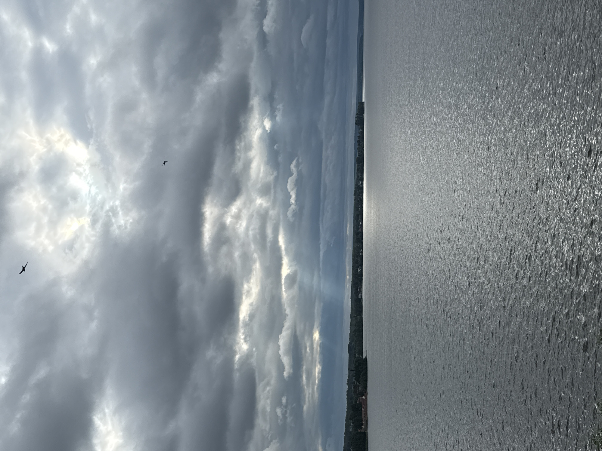 The image displays a wide-angle view over a large body of water, identified as being in the vicinity of Votkinsk, Russia, under a heavily clouded sky. The sky, occupying the upper third of the frame, is dominated by varying shades of dark grey and lighter grey cumulus clouds. Sunbeams, appearing as distinct crepuscular rays, descend from a break in the cloud cover on the mid-left, illuminating a section of the water. Another bright area, indicative of strong light reflection, is visible on the distant water surface towards the center-right. Two distinct birds are in flight; one, silhouetted, is positioned in the upper left quadrant, and a second, smaller silhouette is higher and slightly right of the frame's center. The expansive body of water, covering the lower two-thirds of the image, has a textured surface with numerous small ripples and glints of light, reflecting the overcast sky and the direct sunbeams. A distant shoreline, densely covered with green trees, extends across the mid-ground. On the far left of this shoreline, several low-rise structures with reddish roofs are visible amidst the foliage. No human figures or specific human activities are discernable within the scene.