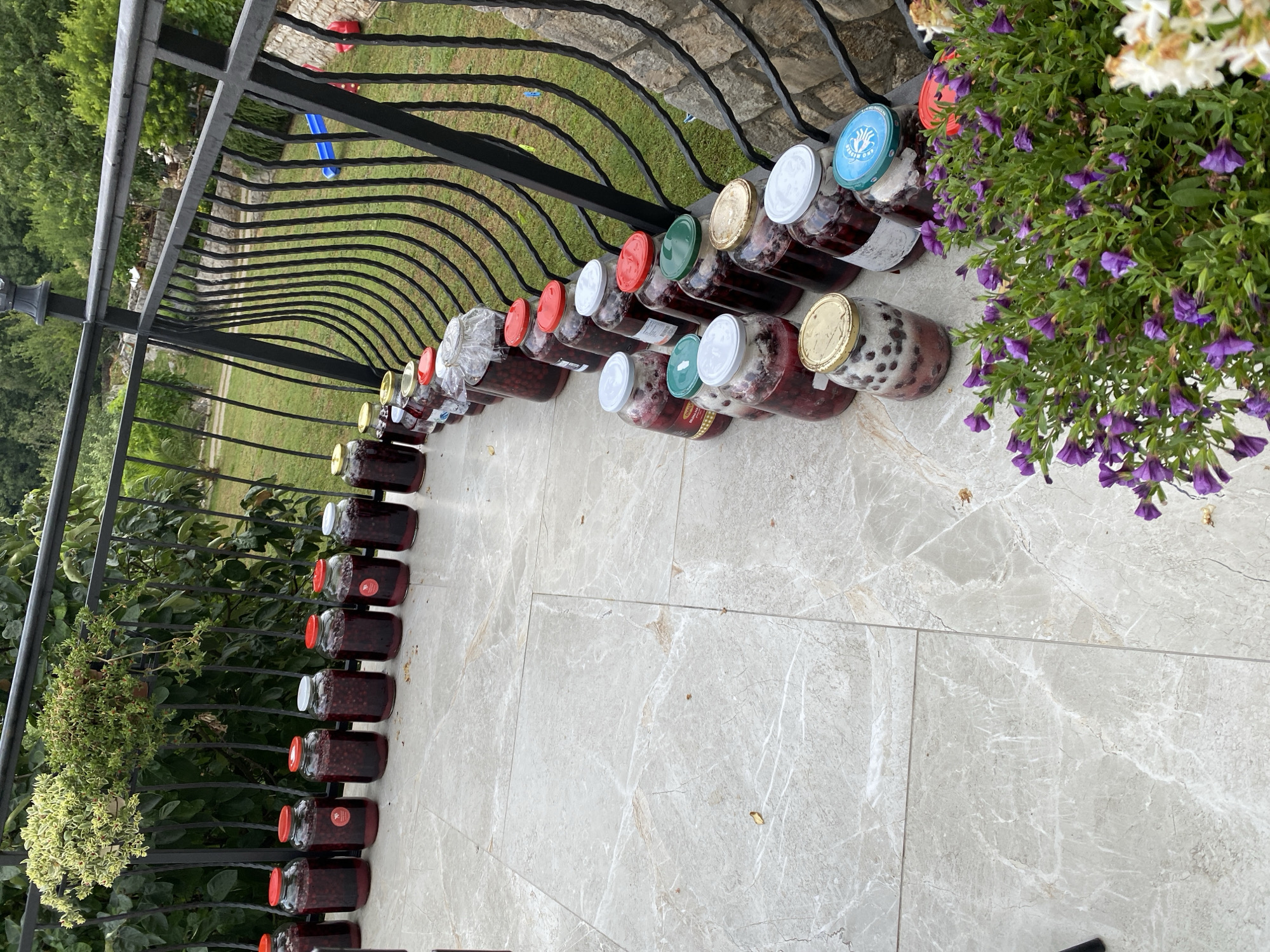 The image captures an outdoor scene, likely a balcony or terrace, in Meterizi, Montenegro, overlooking a green landscape. The primary subjects are a long row of glass jars filled with preserved fruit, presumably cherries or dark berries, lined up on a light-colored tiled surface.
There are approximately 25-30 jars visible, varying in size, with different colored lids including red, white, green, blue, and gold. The contents appear to be fruit in a liquid, indicating a canning or preservation activity. One blue lid features a distinctive logo or emblem, possibly a stylized bird or flower, with some unreadable text. Other jars have small labels on their sides, but the text is not legible.
The jars are positioned along a black metal railing with an ornate, curved design. Beyond the railing, a lush green lawn, trees, and dense foliage are visible. In the background, a small red object and a blue slide are discernible, suggesting a play area. Closer to the viewer, on the tiled surface, are pots with vibrant purple flowering plants, along with some white flowers, adding a touch of color to the scene. The lighting suggests it is daytime, with soft, ambient light rather than direct harsh sunlight. The tiled floor is a light grey or off-white with subtle marble-like patterns. No people are visible in the image.