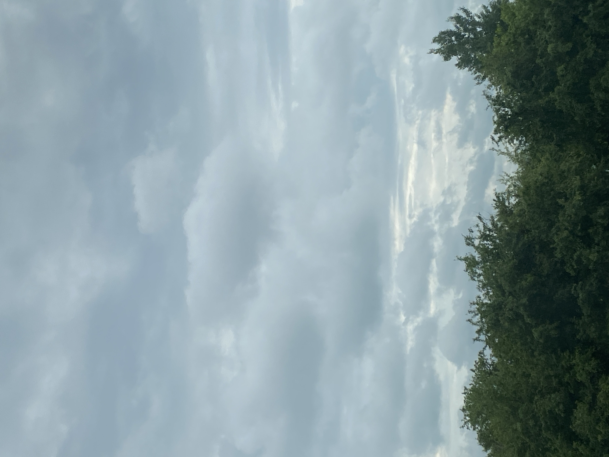 The image shows a cloudy sky above a dense line of green trees. The clouds are varying shades of gray and white, with some areas appearing brighter where sunlight is breaking through. The trees form a solid canopy, obscuring any view of what might be beyond them. The overall impression is of an overcast day, likely in a natural or suburban setting given the abundance of trees.
