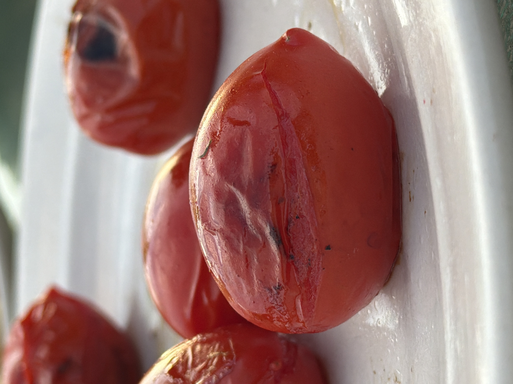 A close-up, high-angle shot shows several roasted Roma tomatoes on a white plate. The tomatoes are bright red and some are slightly wrinkled and charred, indicating they have been cooked. The plate appears to have some residual liquid or oils from the tomatoes. The background is softly blurred, suggesting an outdoor setting, possibly a table on a patio or deck, with hints of greenery in the distance. No people are visible in the image, and the tomatoes are stationary. The scene is consistent with food preparation or presentation. The image does not contain information to determine its location in Blagodat', Russia.