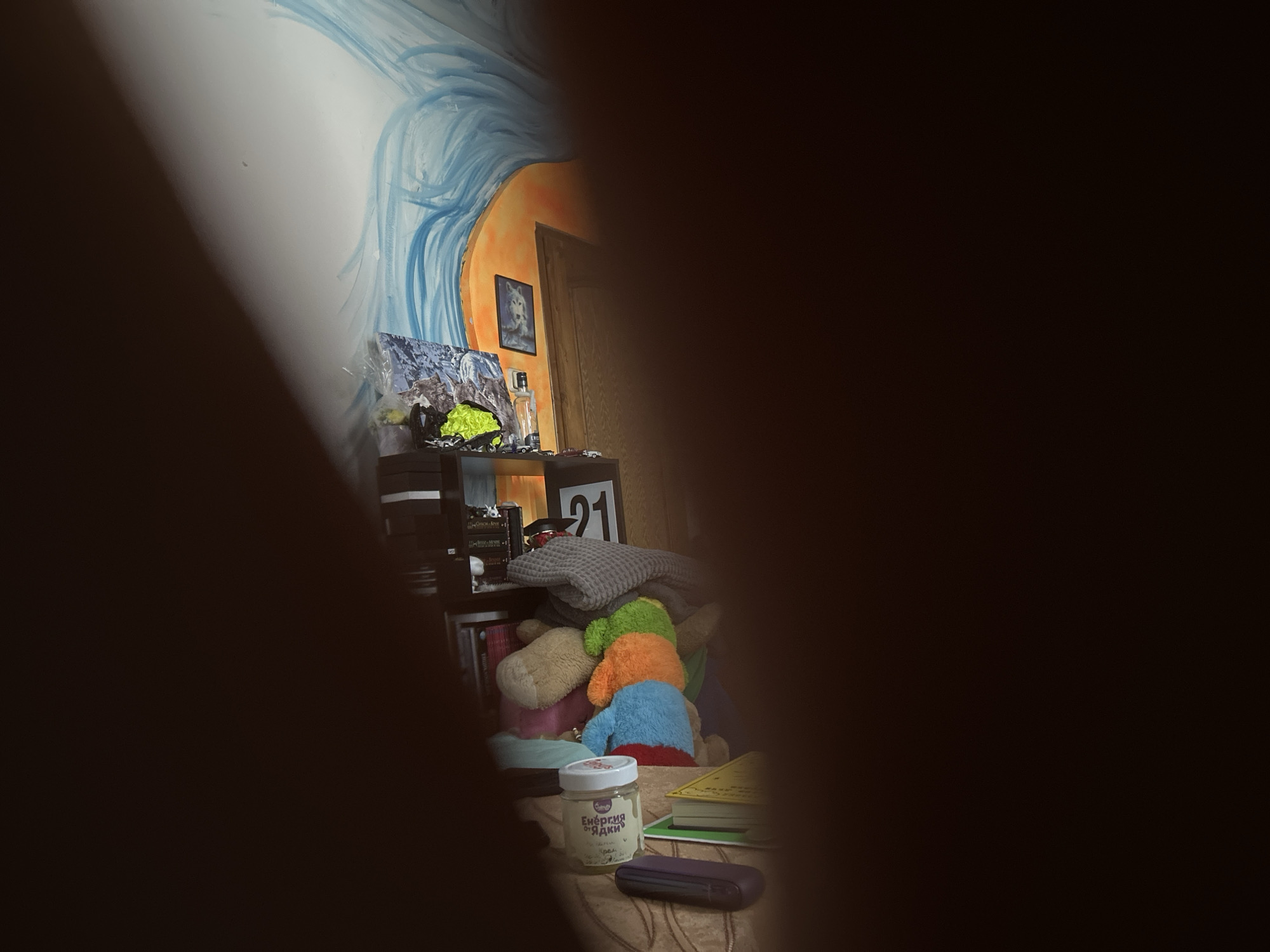 The image shows a dimly lit room interior, possibly a bedroom or living area, with a noticeable lack of focus, suggesting it was taken without proper stabilization or lighting. A prominent feature is a wall mural with blue, wavy strokes, possibly representing hair or water, against an orange background. On a shelf unit, there are various items including what appear to be stuffed animals, books, and a jar with text in Cyrillic script. A framed picture of a wolf is visible on the wall to the right of the mural, and a wooden door is partially visible. The overall impression is of a cluttered space, with the foreground significantly blurred by what seems to be a hand or object obstructing the view. No specific location in Plovdiv, Bulgaria can be determined from the visual information provided.