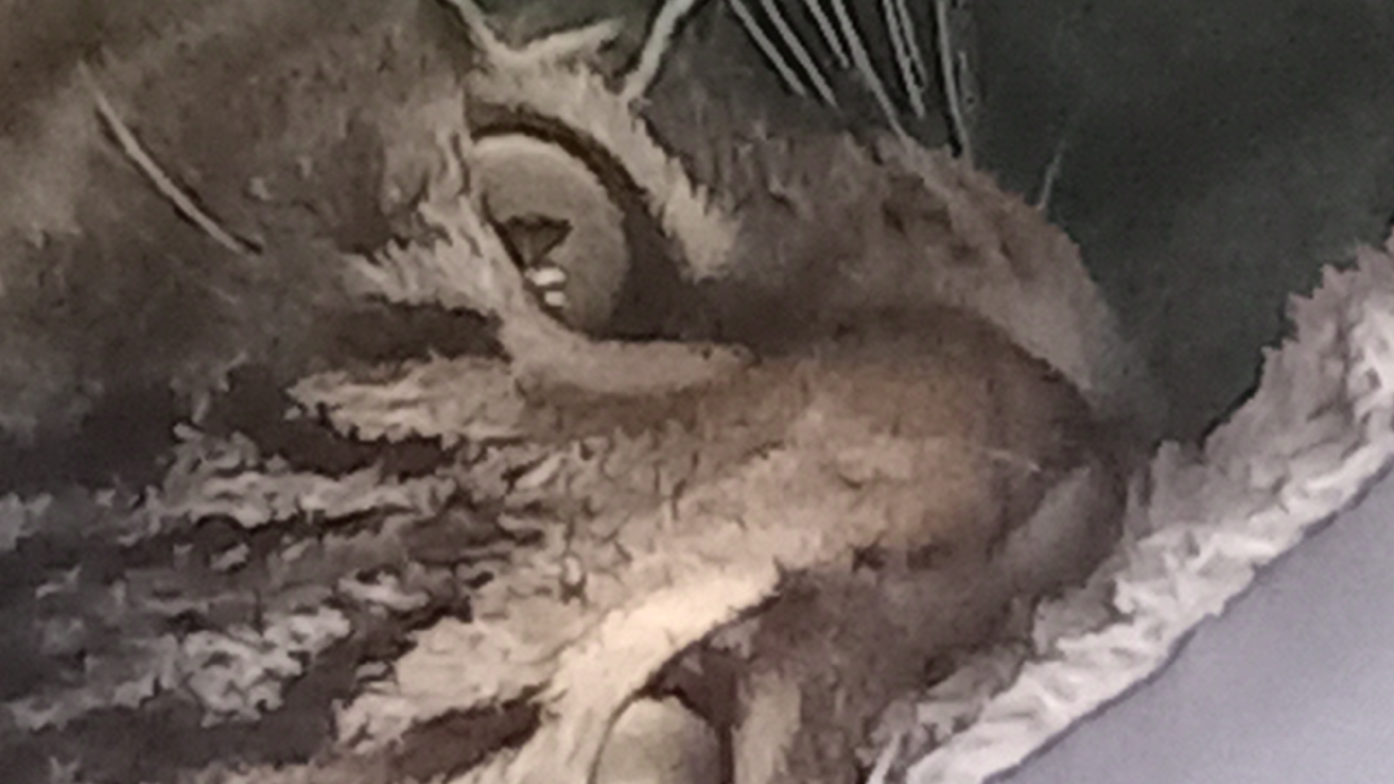 The image is a close-up, low-resolution photograph of a cat's face, specifically a tabby cat. The cat's fur is visible with its characteristic stripes. The image focuses on the cat's eyes, nose, and mouth area. The cat appears to be a domestic shorthair. There are no discernible landmarks or elements within the image that would suggest a specific location in the city of Άγιος Νεκτάριος, Greece. The background is indistinct and appears to be a muted green color. The overall impression is that of a portrait of a cat.