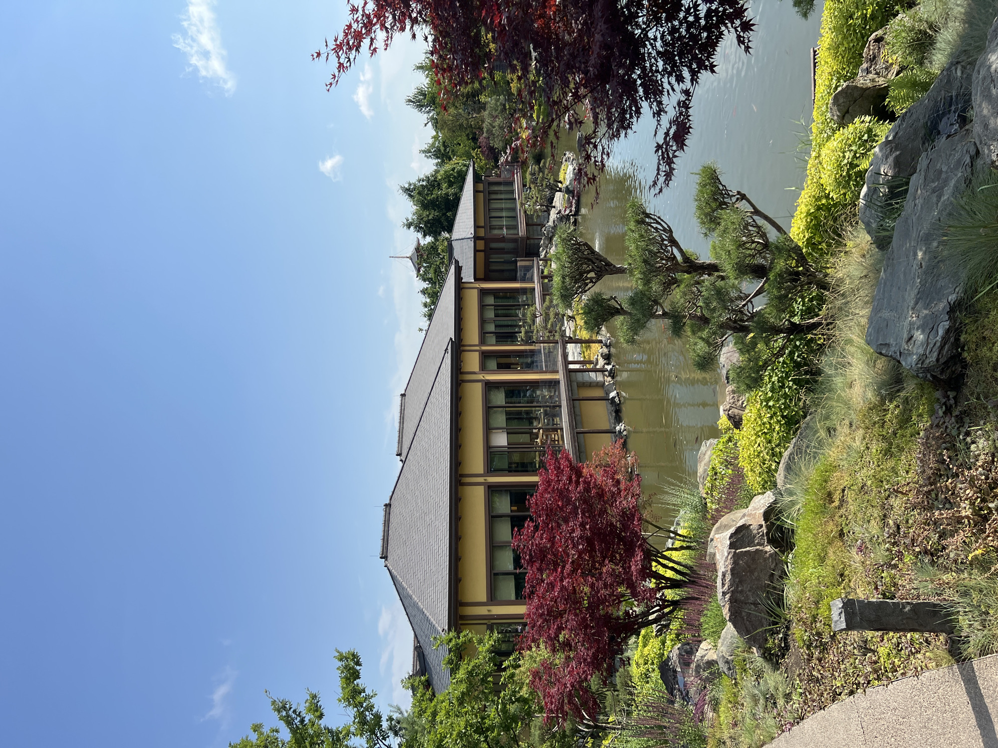 This image depicts a serene Japanese garden with a building in the background, located in the city of Krasnodar, Russia. A modern, yellow-hued building with a dark, sloped roof and large windows is visible, reflecting the sky and surrounding greenery. The building is situated adjacent to a calm pond filled with water, where several koi fish can be seen swimming.
The foreground is meticulously landscaped with various plants, including vibrant red maple trees, lush green bushes, and ornamental grasses. Large, grey rocks are strategically placed throughout the garden, adding to its naturalistic aesthetic. A paved pathway runs along the left side of the image, leading the viewer into the scene.
The sky is a clear blue, with a few wispy white clouds scattered across it, indicating a pleasant, sunny day. The overall impression is one of tranquility and meticulous design, characteristic of a well-maintained Japanese garden. There are no people visible in the image.