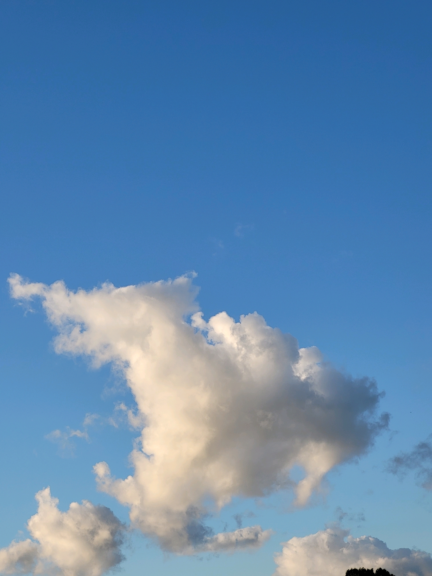 The image depicts a clear blue sky with several scattered cumulus clouds. The clouds are predominantly white and fluffy, with some areas showing subtle gray undertones, suggesting they are illuminated by sunlight. One large cloud formation in the center of the frame is particularly prominent, exhibiting a dynamic and somewhat irregular shape. Smaller clouds are visible in the lower portion of the image, also varying in size and density. The overall scene is tranquil and natural, typical of an outdoor environment. This image was captured in Ozolnieki, Latvia. There are no people, identifiable subjects, or specific objects present other than the clouds and the sky. The environment is that of an open sky on what appears to be a pleasant day.