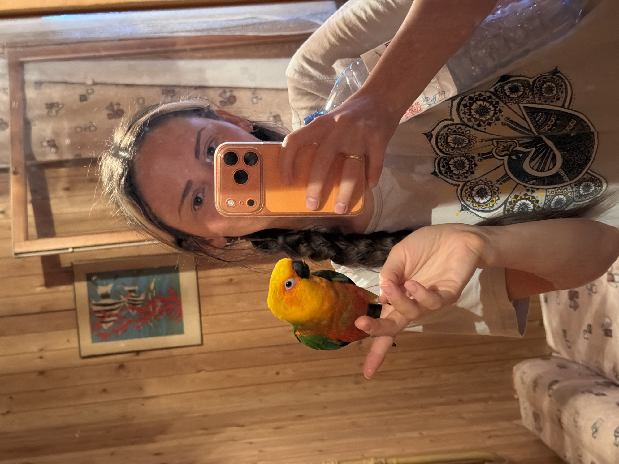 A woman is taking a selfie in a room with wood-paneled walls. She is holding an orange smartphone in her right hand, and a sun conure parrot is perched on her left index finger. The parrot is brightly colored with yellow, orange, green, and red feathers. The woman is wearing a light-colored t-shirt with a black and white peacock design. In the background, a framed picture of fish on a blue background hangs on the wall. There is also a mirror reflecting part of the room and a bottle of water. The room appears to be residential.