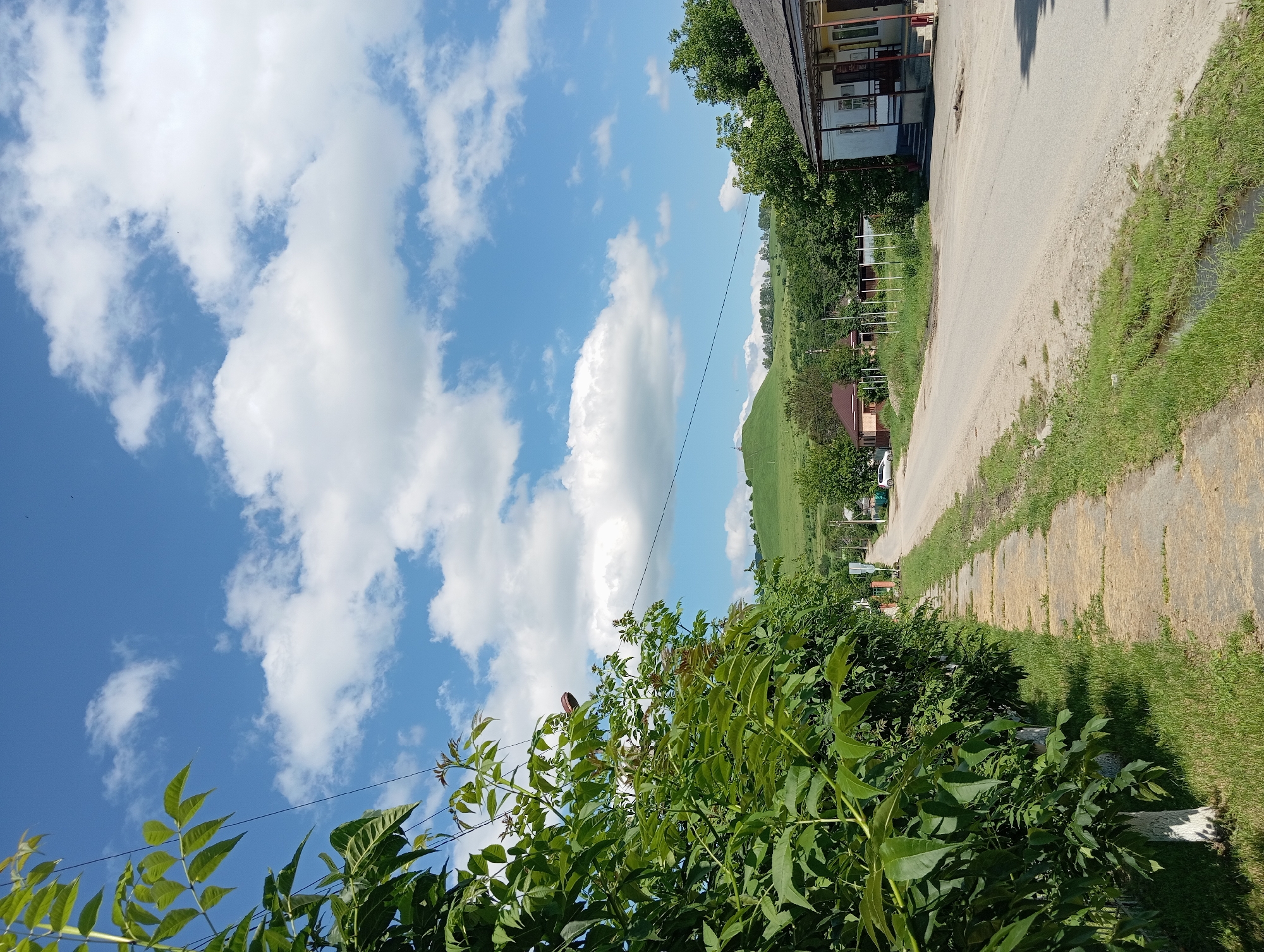 The image shows a street scene in the village of Peredovaya, Russia. On the left side of the image, there is a sidewalk with a row of trees with lush green leaves. The sidewalk is made of concrete slabs and is bordered by grass. The road is asphalt and runs down the center of the image, curving slightly to the right as it recedes into the distance. On the right side of the road, there is a building with a covered porch and a dark roof. Behind the building and across the road, there are more trees and smaller buildings. In the background, there is a large, green hill with a structure on top. The sky is blue with fluffy white clouds. The scene appears to be a sunny day in a rural or suburban setting.