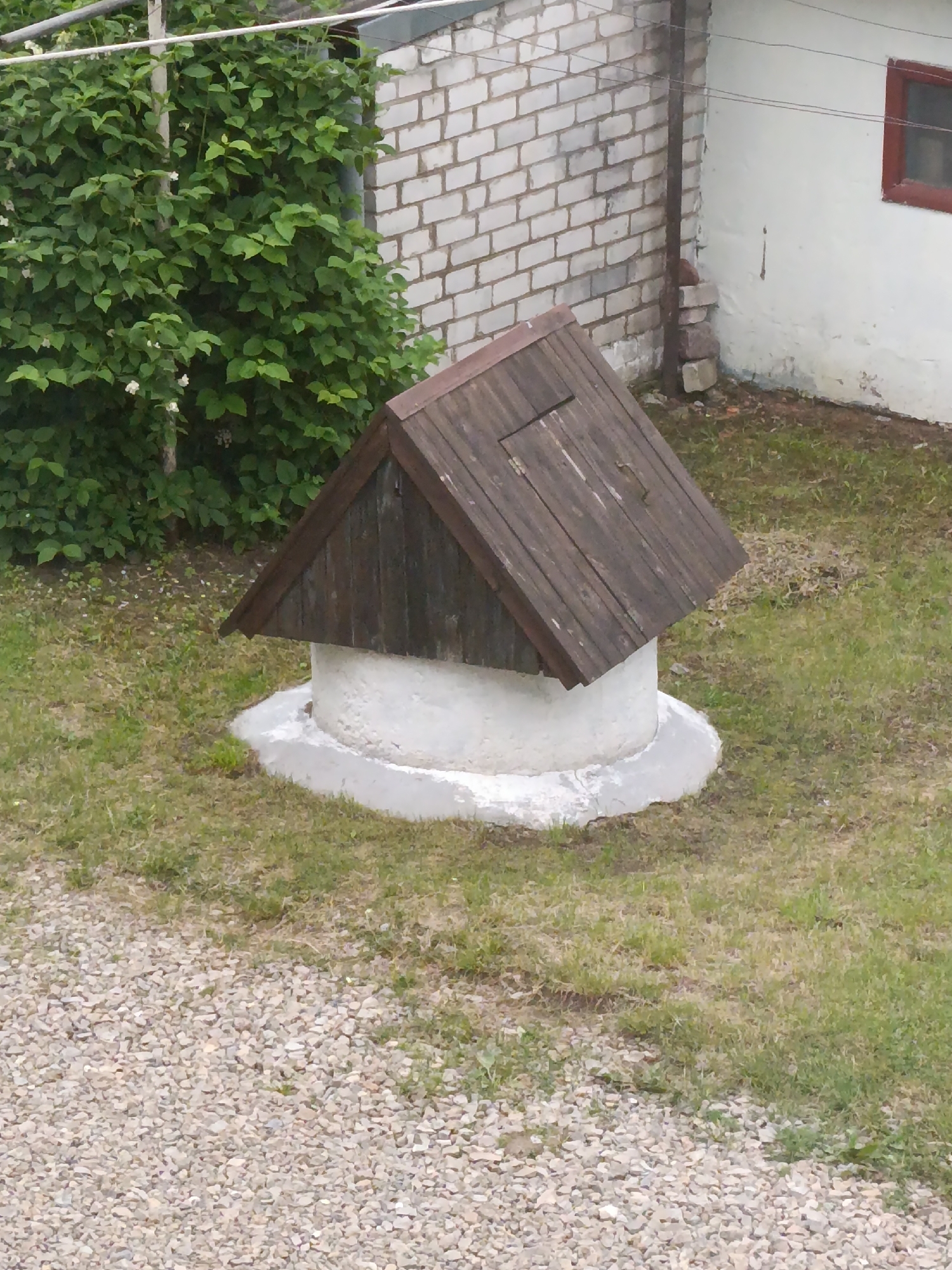 In an outdoor scene at an unknown location, a covered well with a wooden peaked roof sits on a grassy area. The well's circular base is made of white material, possibly concrete, and it is surrounded by a grey concrete foundation. To the left of the well, a dense green bush or tree with small white flowers is visible, with some of its branches extending upwards and supported by a metal pole and wires. Behind the bush, a white brick wall is partially obscured. Further to the right, a white building with a single window featuring a dark red frame is present. The ground in the foreground is covered with gravel. The overall setting appears to be a rural or suburban yard.