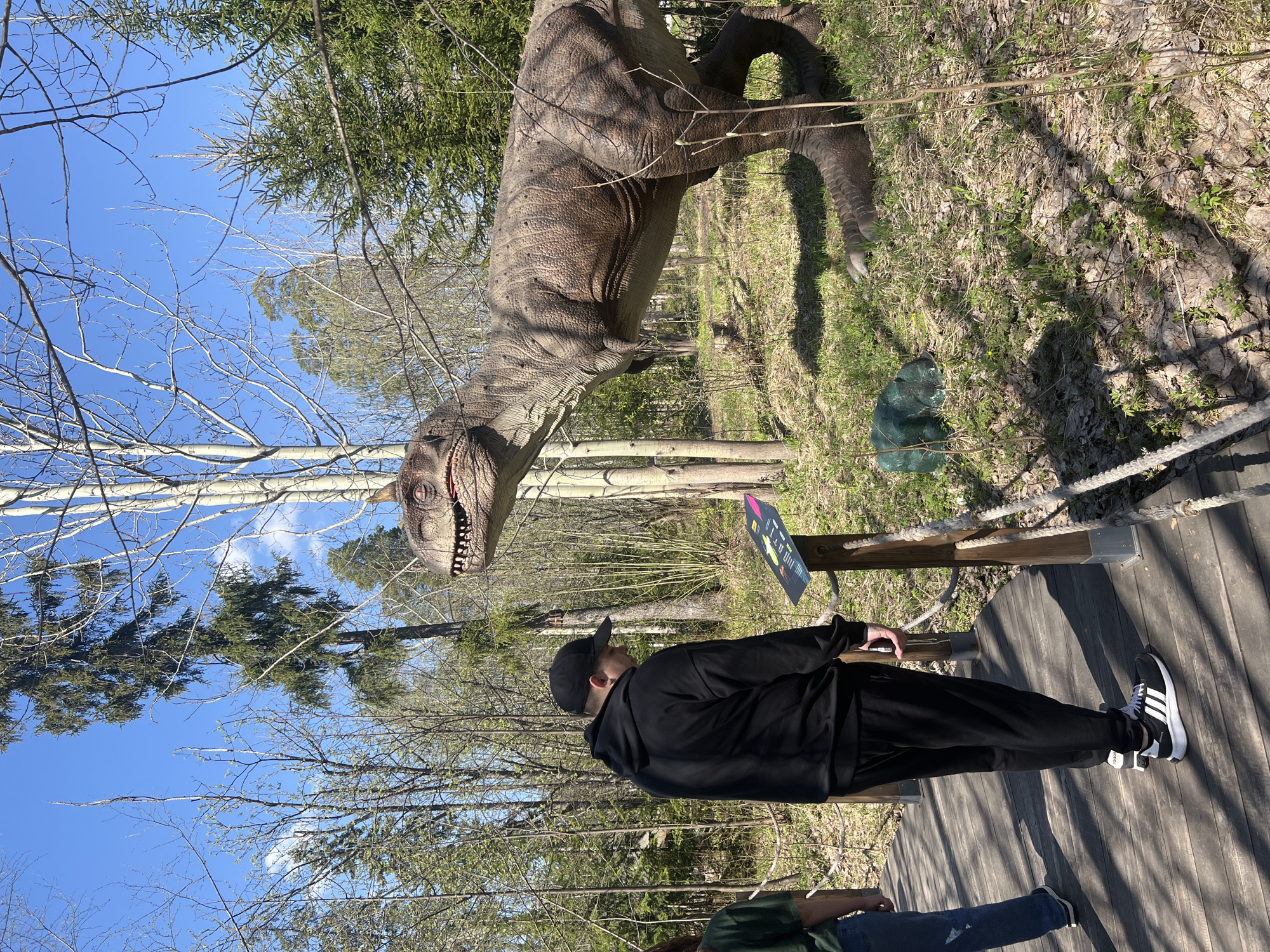 A person wearing black clothing and a baseball cap stands on a wooden boardwalk looking at a dinosaur sculpture in a park-like setting. The dinosaur is brown and textured, and it appears to be an Allosaurus, as indicated by the horn above each eye. Trees are visible in the background, with both bare branches and green foliage. The sky is blue. A rope barrier surrounds the dinosaur display. The location may be the city of Izhevsk, Russia, based on external information.