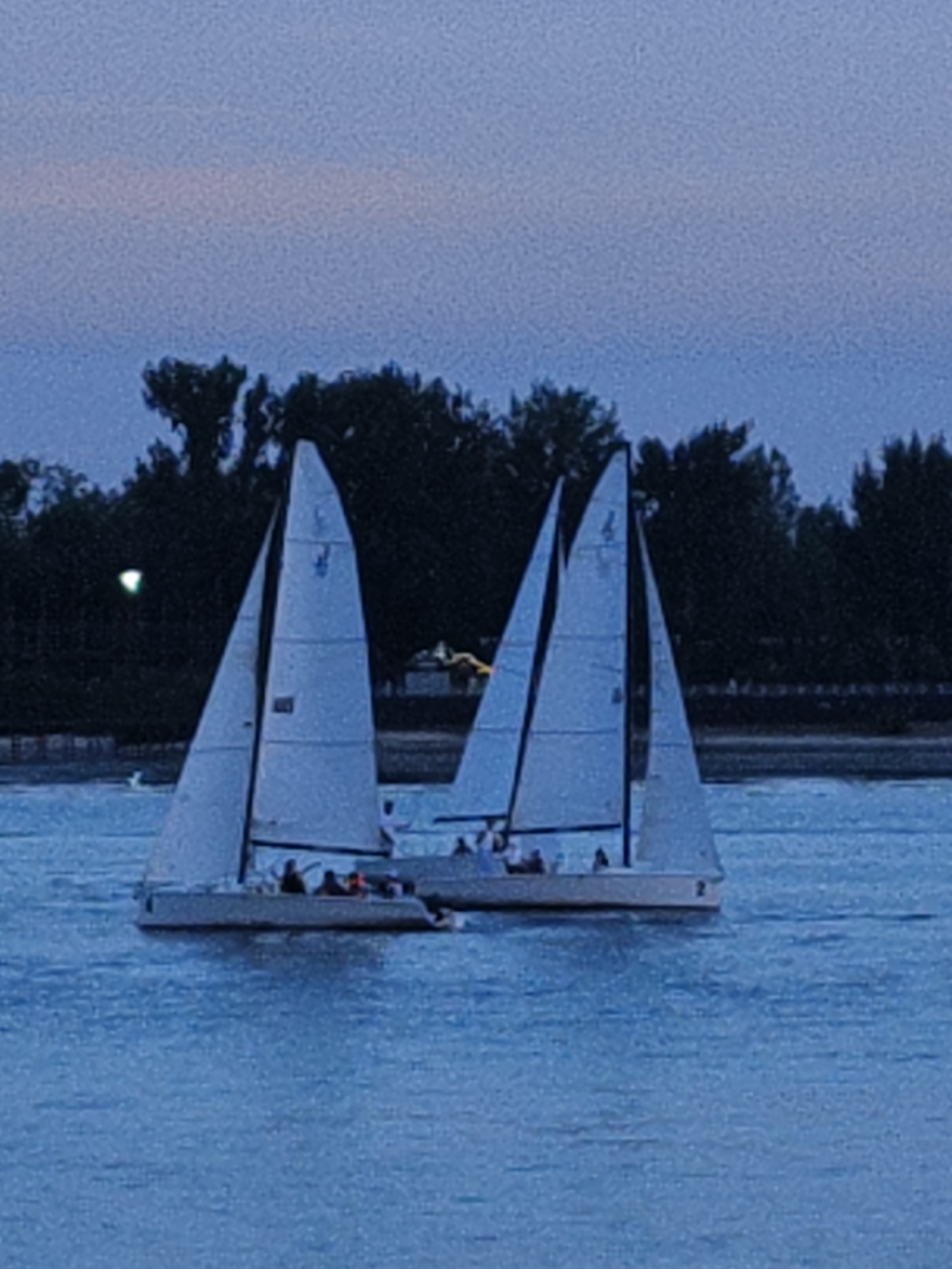 The image shows three sailboats on a body of water at dusk, with a dark treeline in the background. The sky is a deep blue with a hint of pink near the horizon. The sailboats have white sails and appear to be in motion. The lead sailboat, on the left, has at least four people visible on board, some wearing life vests. The second sailboat is slightly behind and to the right of the first, and the third sailboat is further to the right and appears to be slightly behind the second. The water is a deep blue, and the overall scene suggests a calm evening on the water. The location is not discernible from the image.