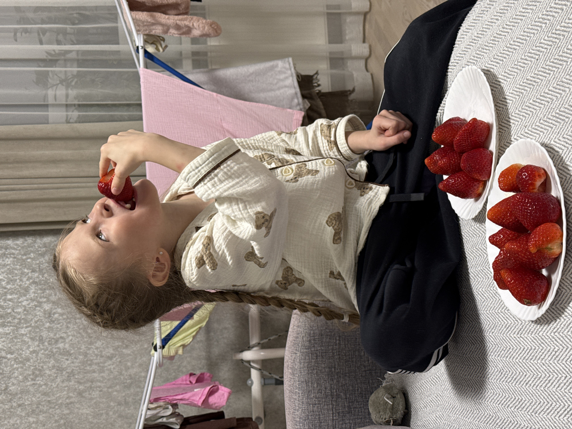 A child in Izhevsk, Russia, with blonde hair braided down her back and wearing a cream-colored pajama top with brown bear designs, is eating a strawberry. She is sitting on a grey sofa covered with a patterned grey and white throw. To her right are two white dishes, one containing several red strawberries and the other containing a smaller number of red strawberries. She is wearing black sweatpants with white stripes down the side. In the background, clothes are drying on a rack.