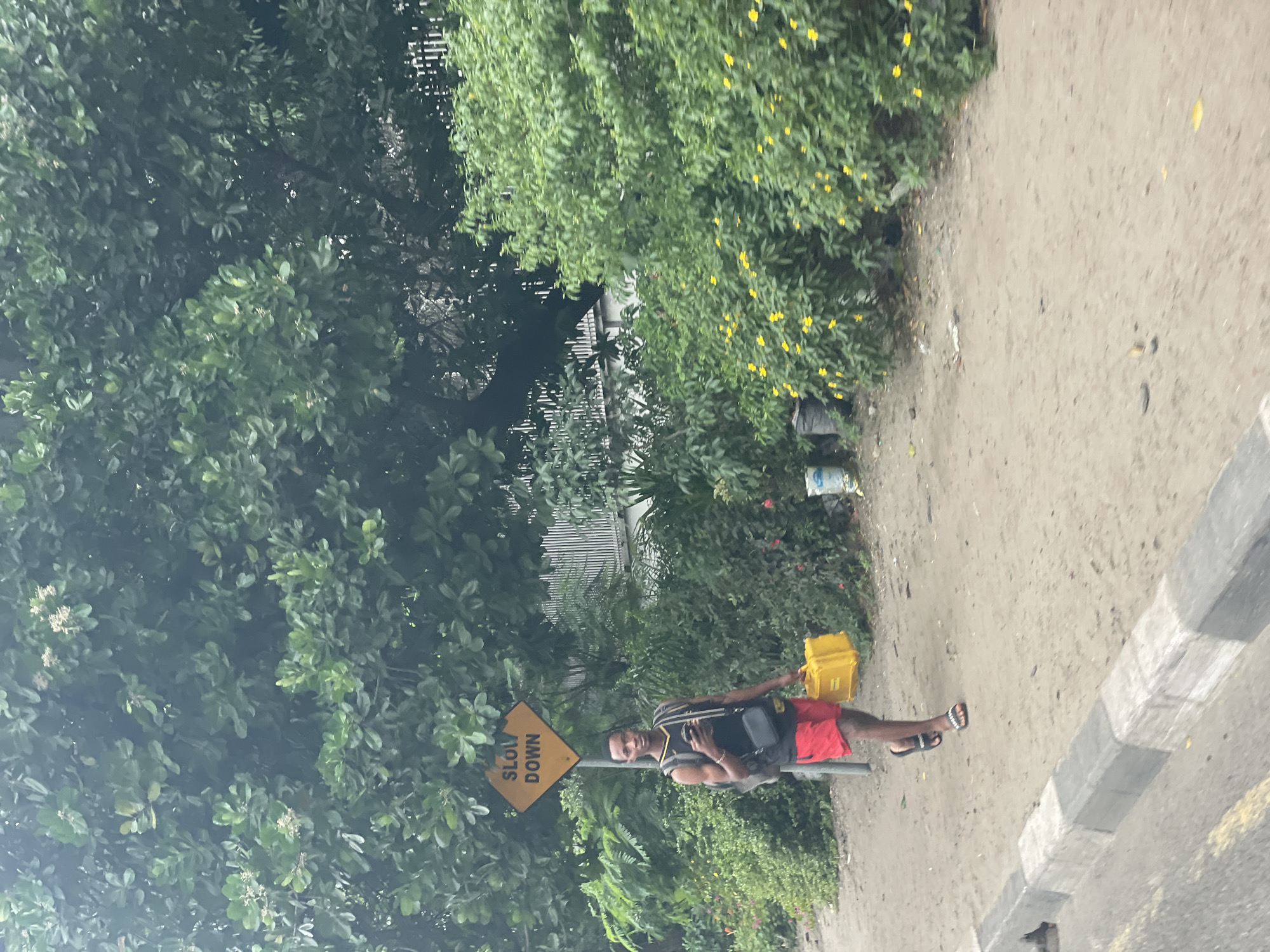 A man stands on a sidewalk next to a "SLOW DOWN" sign. He is wearing a black-and-white striped vest over a black shirt, red shorts, and sandals. He is carrying a yellow box in his right hand and has a black bag slung across his body. The scene is bordered by lush green trees and vegetation. The location is likely in Lagos, Nigeria, based on the style of the sign and the appearance of the vegetation.