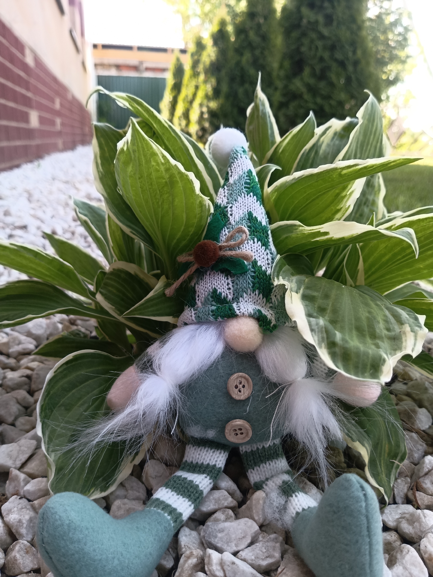 A gnome doll sits amongst white gravel and green-and-white hosta plants. The gnome has a green-and-white patterned hat with a white pompom on top and a brown embellishment on the front. It has a long white beard, a peach-colored nose, and a green felt body with two brown buttons. The gnome's legs are green-and-white striped and end in solid green felt feet. In the background, there is a brick wall, a green fence, and some evergreen trees. The location is likely a garden in Фоки, Russia.