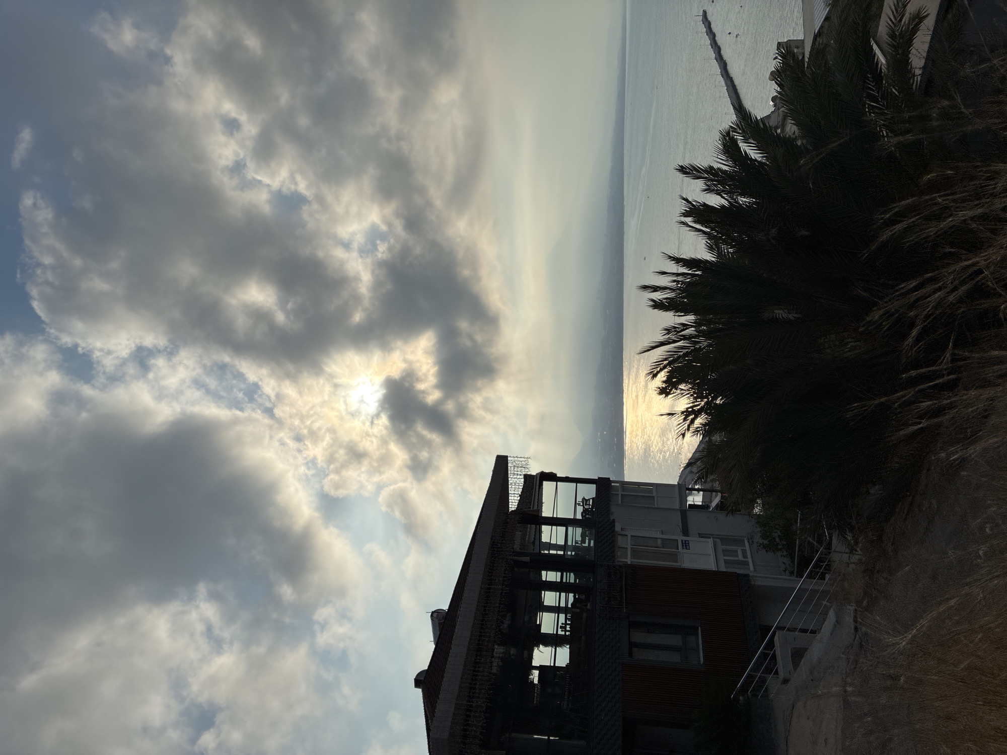 An outdoor, high-angle, eye-level shot captures a serene coastal view of Alanya, Turkey, under a partially cloudy sky. The sun, peeking through the clouds, casts a golden, shimmering reflection on the calm sea. In the foreground, a building with a dark-tiled roof and multiple windows, some featuring balconies, is partially visible on the left. The building's facade is a mix of brown and white. A metal railing guides a set of stairs down the embankment. Lush, dark green palm fronds dominate the lower right portion of the frame, with dry grass at the very bottom. In the middle ground, the sea stretches out, dotted with a long pier extending from the right side of the frame, with a few small boats visible in the distance. The horizon is marked by a hazy, indistinct mountainous silhouette. The overall atmosphere is peaceful and tranquil.