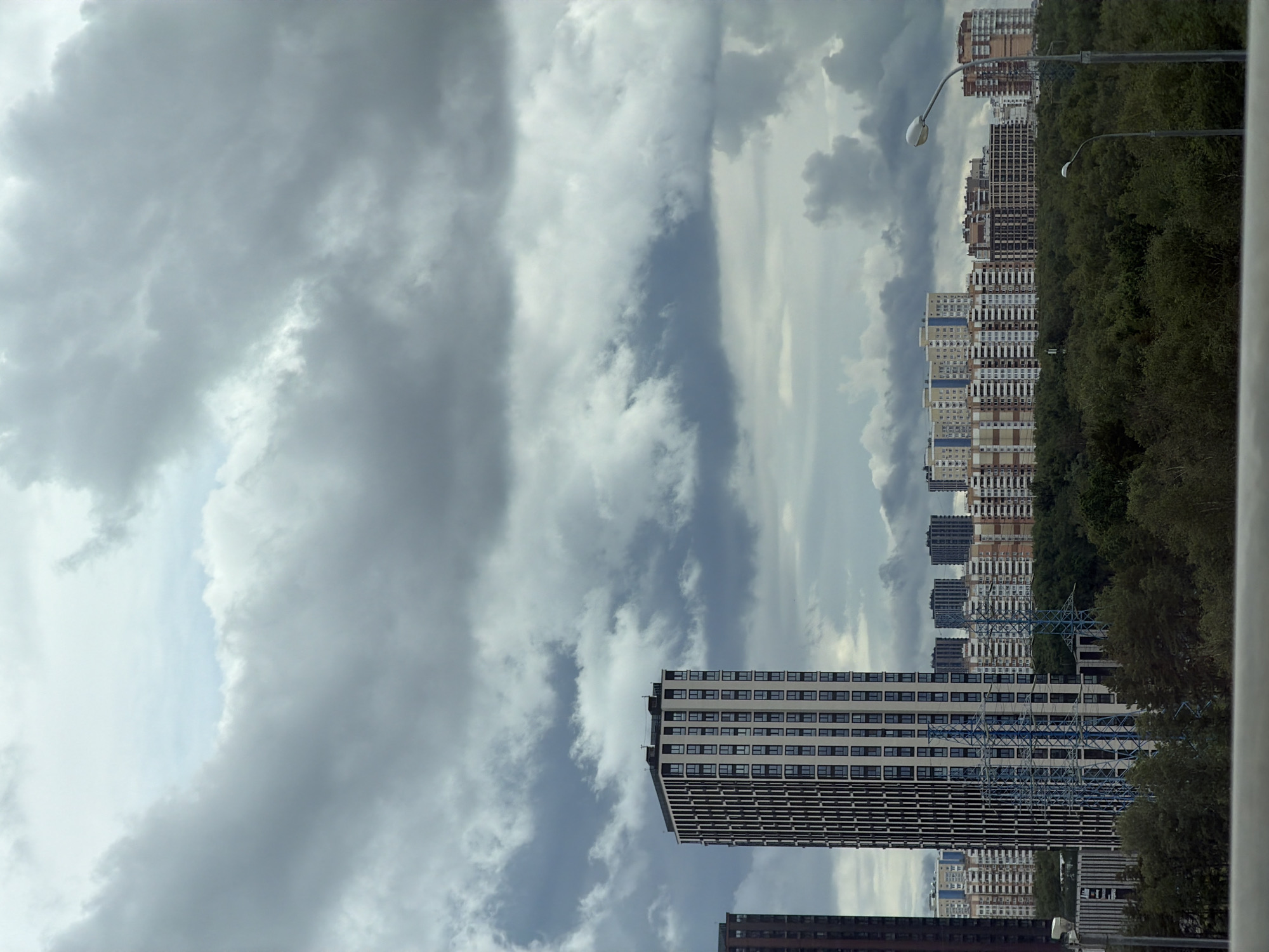 The image shows a cityscape under a cloudy sky. In the foreground, a dark, blurred horizontal line suggests a railing or barrier. In the middle ground, a row of dense green trees forms a thick line across the frame. Behind the trees, several high-rise buildings are visible. The most prominent is a tall, slender, multi-story building with a patterned facade of white and dark rectangles. To the left of this building, another tall, dark-colored building is partially visible. Further back, a line of apartment buildings stretches across the horizon, with varying architectural styles and colors, predominantly white, beige, and light blue. Two streetlights with modern designs are present in the right side of the frame, one taller than the other. In the sky, heavy, dark gray clouds dominate, with patches of lighter sky visible through breaks. The scene appears to be an urban residential area. Based on the architectural style of the buildings, the presence of dense, mature trees, and the general urban planning, this image is likely from a residential district in Moscow, Russia, possibly such as those in the northeastern or eastern parts of the city which have undergone significant development with large apartment complexes.