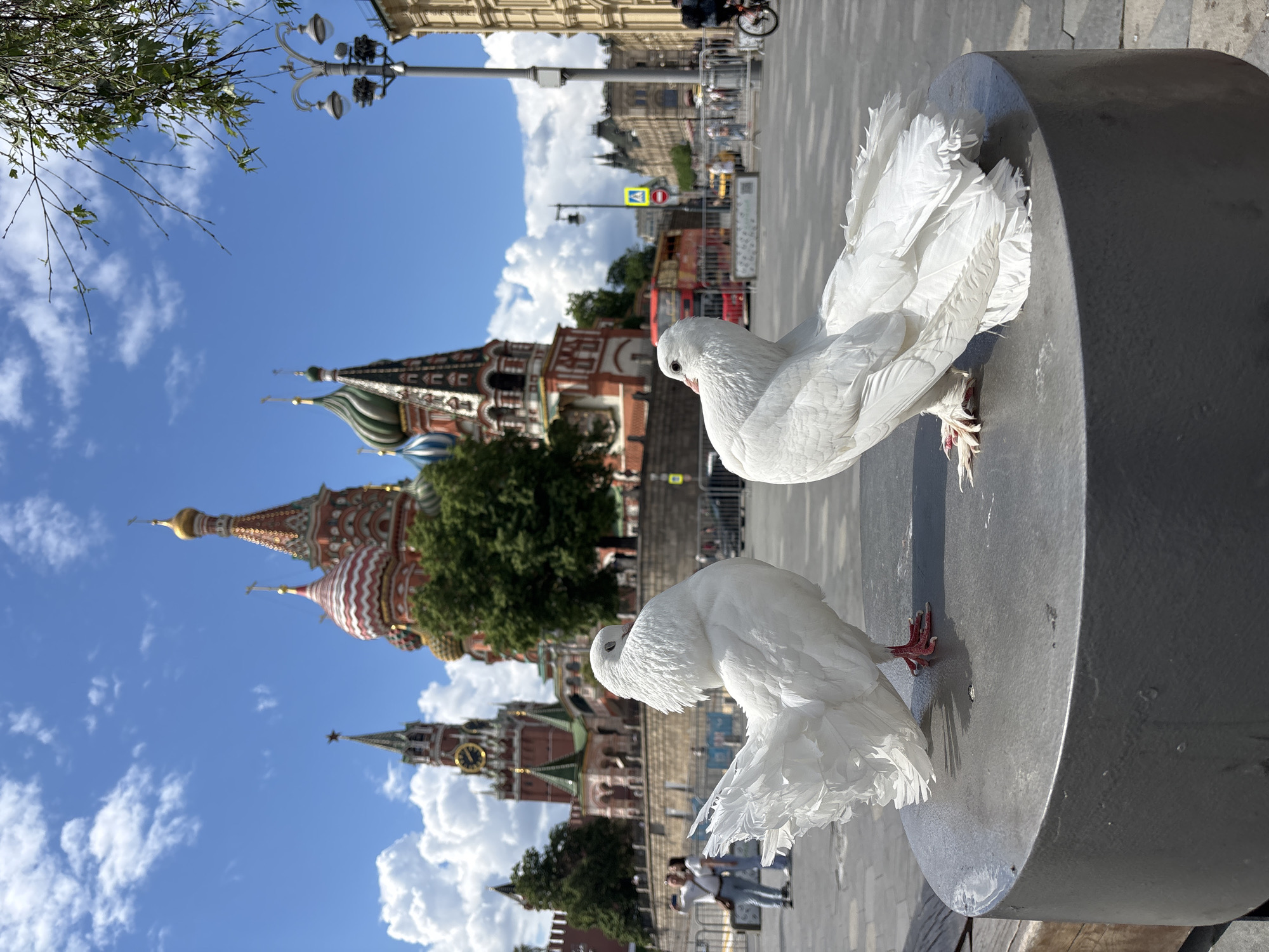 Two white doves perch on a cylindrical gray metal structure in Moscow, Russia, with the city's iconic landmarks visible in the background under a blue sky with scattered clouds. The foreground captures the detailed texture of the doves' feathers and their delicate red feet gripping the metal surface. Behind the doves, the ornate domes and towers of St. Basil's Cathedral and the Kremlin's Spasskaya Tower rise, partially obscured by trees. In the distance, blurred figures of people are visible on the pavement and buildings across the square can be seen.