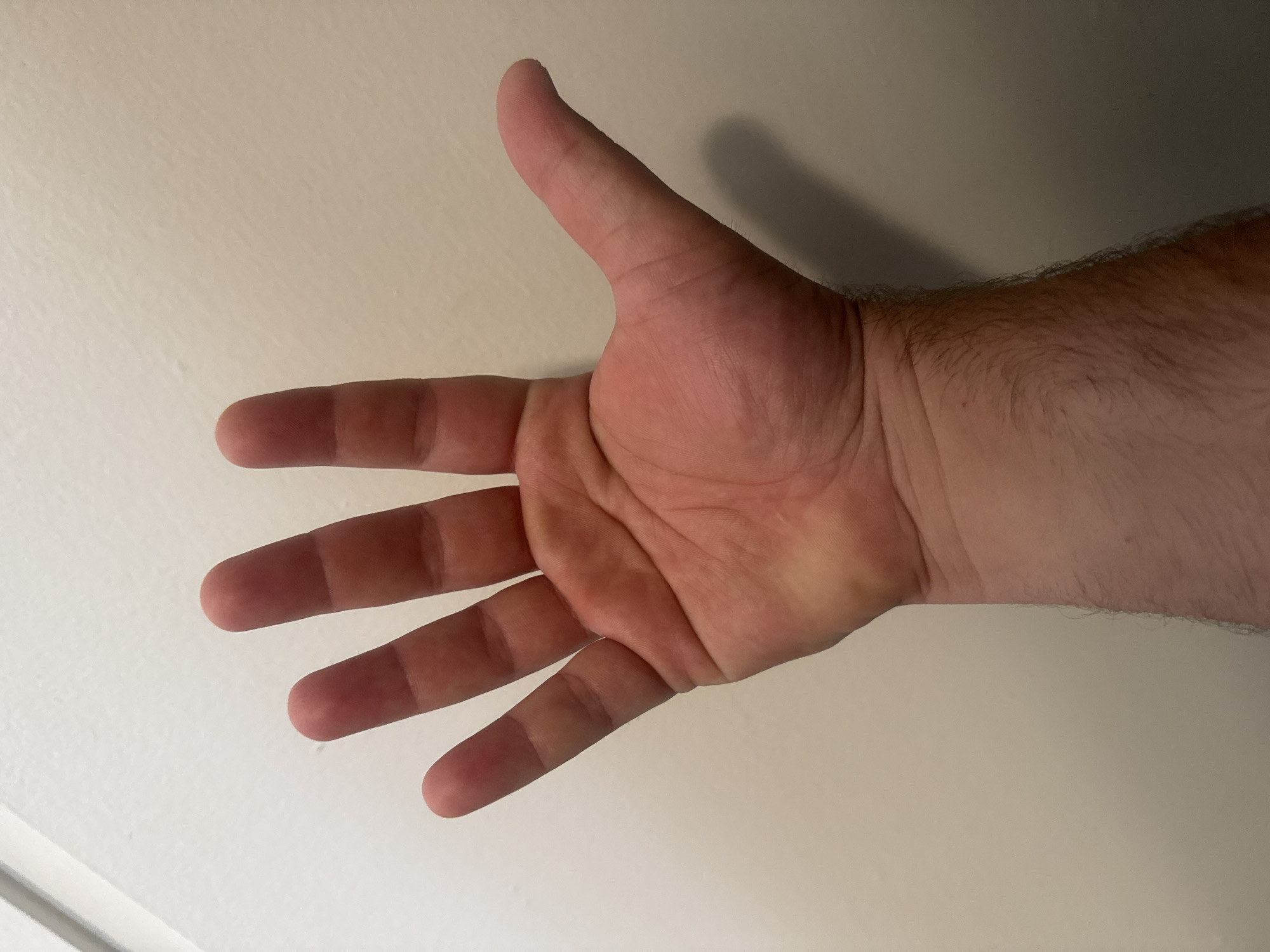 A close-up, overhead shot shows a person's right hand, palm up, against a plain, off-white wall. The fingers are spread apart, with the thumb extended outwards. The hand is lightly tanned and shows visible palm lines. The forearm, with some light hair, extends into the bottom of the frame. The lighting casts a subtle shadow to the right of the hand. The image appears to have been taken indoors.