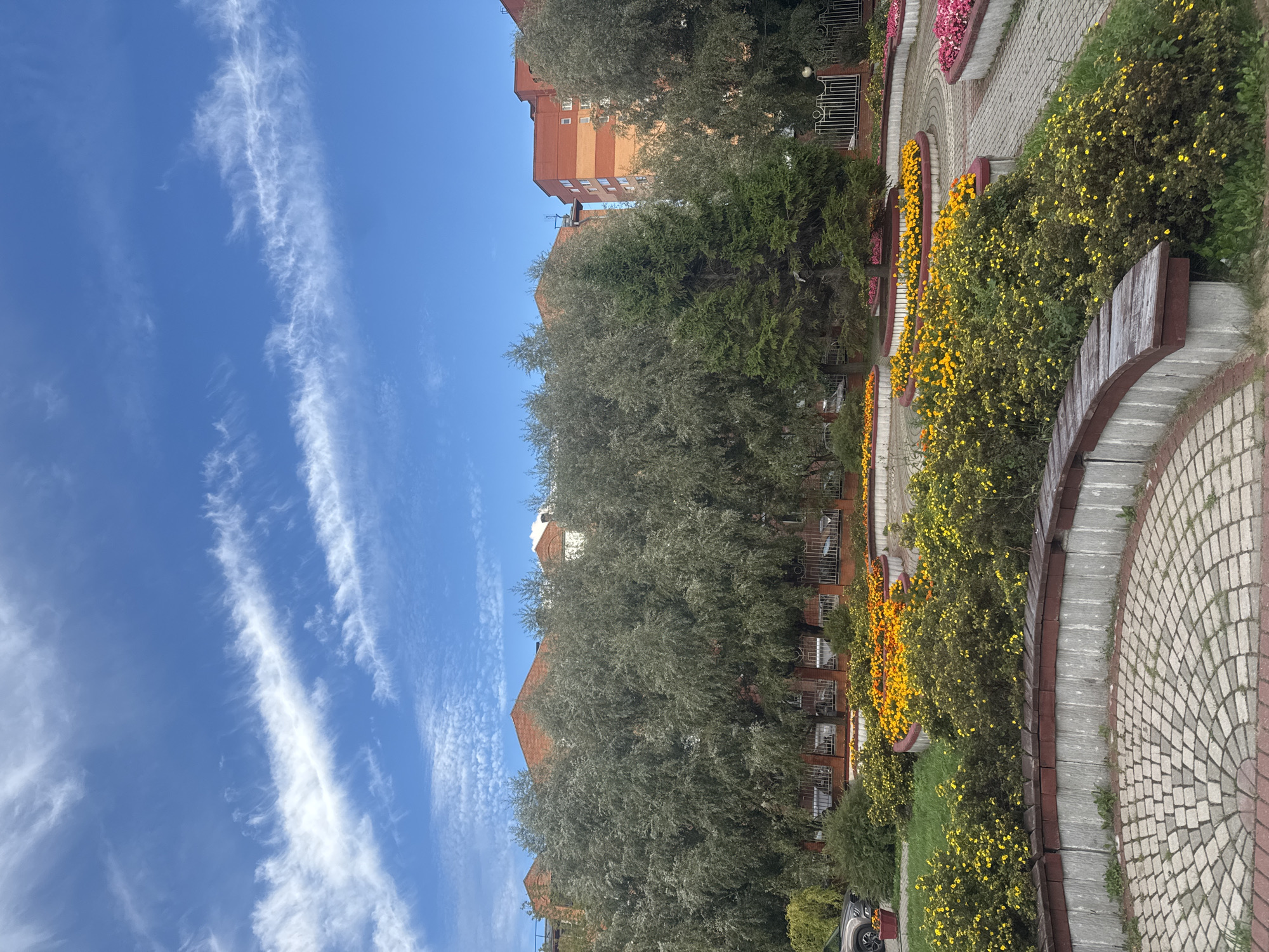 The image depicts a section of a park in Sovkhoz imeni Lenina, Russia, on a clear day with scattered cirrus clouds. In the foreground, a curved stone and brick planter is filled with abundant green bushes dotted with small yellow flowers, and a weathered wooden bench is built into its side. Adjacent to this planter is a circular paved area with a fan-like pattern of light gray and tan bricks. Beyond this, more curved planters are filled with brightly colored yellow and orange flowers, separated by paved pathways. Several trees, including a prominent evergreen in the center and larger deciduous trees with silver-green foliage on either side, form a dense backdrop. Behind the trees, multi-story apartment buildings with red brick facades and orange accents are visible. A metal fence runs along the property line, and a portion of a dark-colored car is visible on the left edge of the frame. The overall scene is one of a well-maintained urban green space with floral displays.