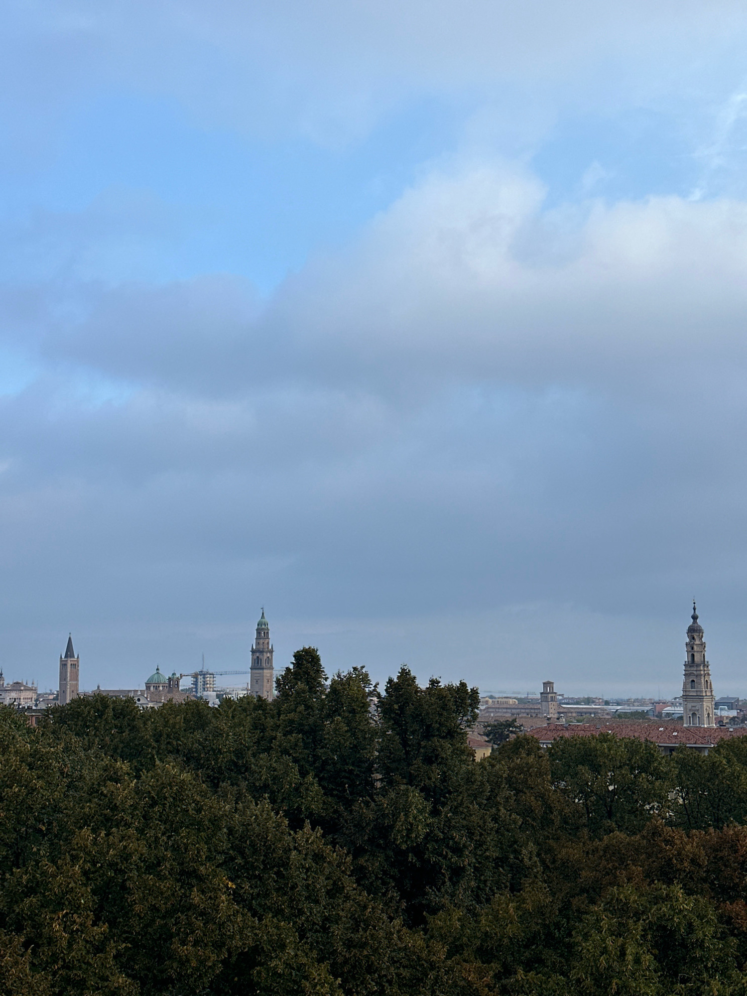 The image depicts a panoramic view of the city of Parma, Italy, with a prominent skyline of towers and rooftops. In the foreground, a dense canopy of dark green trees partially obscures the view of the cityscape, suggesting a vantage point from a slightly elevated position or a park area. The sky above is a pale blue, overcast with scattered white and grey clouds, indicating a potentially cool or early morning atmosphere.
The city's architecture is characterized by several tall, slender towers, many with pointed spires, hinting at historical churches or bell towers. One particularly tall, ornate tower stands out on the right side of the frame, exhibiting intricate detailing and a rounded top. To its left, a cluster of buildings includes domes and more spires. Further to the left, another distinct tower with a pointed spire is visible, and in the distance, a construction crane suggests ongoing development or renovation within the city. The rooftops are a mix of terracotta tiles and other muted building materials. The overall impression is one of an old European city with a rich architectural heritage, viewed under a soft, diffused light. There are no people or vehicles visible in the image.