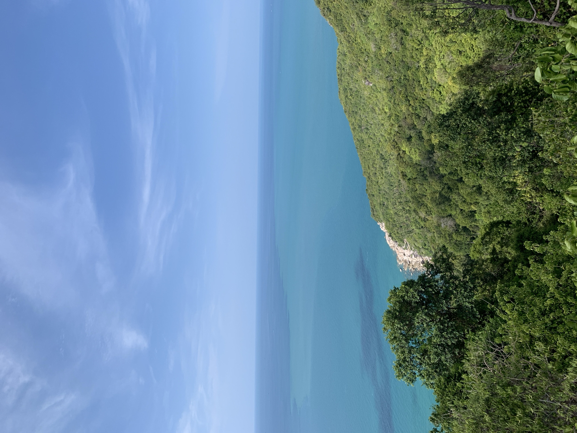 This is a high-angle, full shot of a tropical coastline in the Ko Pha-ngan District of Thailand. The sky is a clear, pale blue with wispy white clouds. The vast ocean stretches to the horizon, a gradient of deep blue to vibrant turquoise where it meets the shore. The coastline is lined with lush, green vegetation, forming a dense forest that cascades down a hillside. Rocky outcrops are visible along the edge of the water. The foreground is dominated by the dense green foliage of trees and bushes, suggesting a viewpoint from a forested elevation. There are no people or man-made structures visible in the image.
