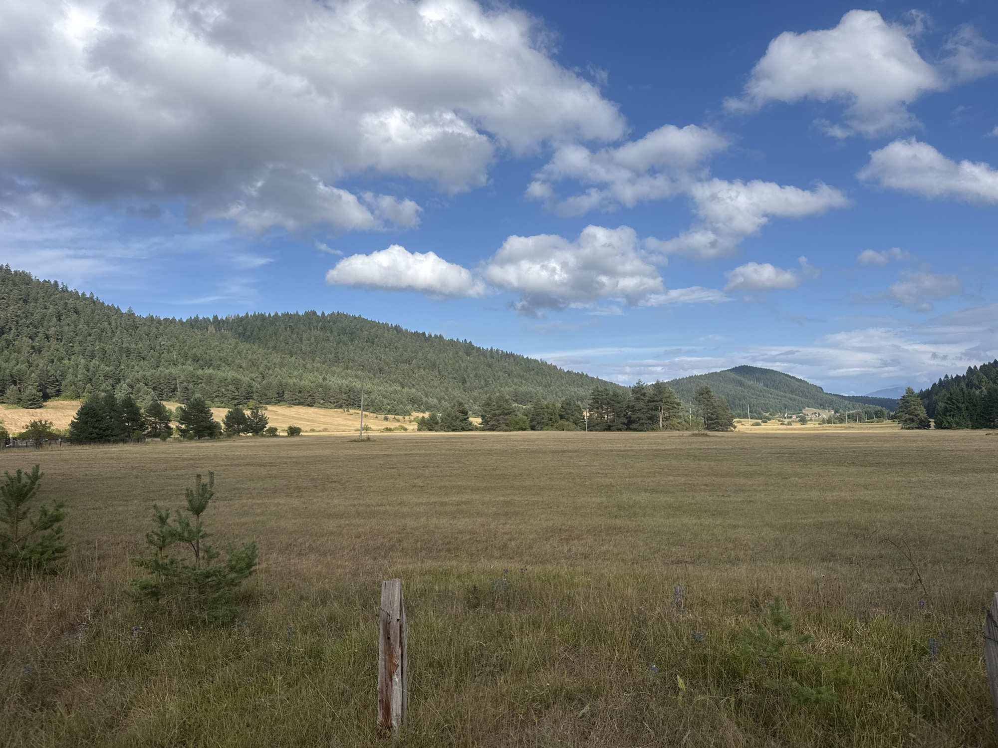 The image captures a pastoral landscape in Donji Babin Potok, Croatia, under a bright, partially cloudy sky. In the foreground, a dry, golden-brown grassy field stretches across the frame, with tall, dried grasses and a few small pine saplings dotting the area. A weathered wooden fence post stands prominently in the lower center, indicating the boundary of the field.
Beyond the foreground field, a more distant, also dry, field is visible, bordered by a line of evergreen trees. Behind the trees, rolling hills covered in dense, dark green coniferous forest rise up, forming the backdrop of the scene. Further in the distance, a few scattered buildings can be seen nestled among the trees on the slopes of the hills. The sky above is a vibrant blue, punctuated by large, fluffy white clouds and a few darker, gray clouds. The overall impression is one of a rural, natural setting.