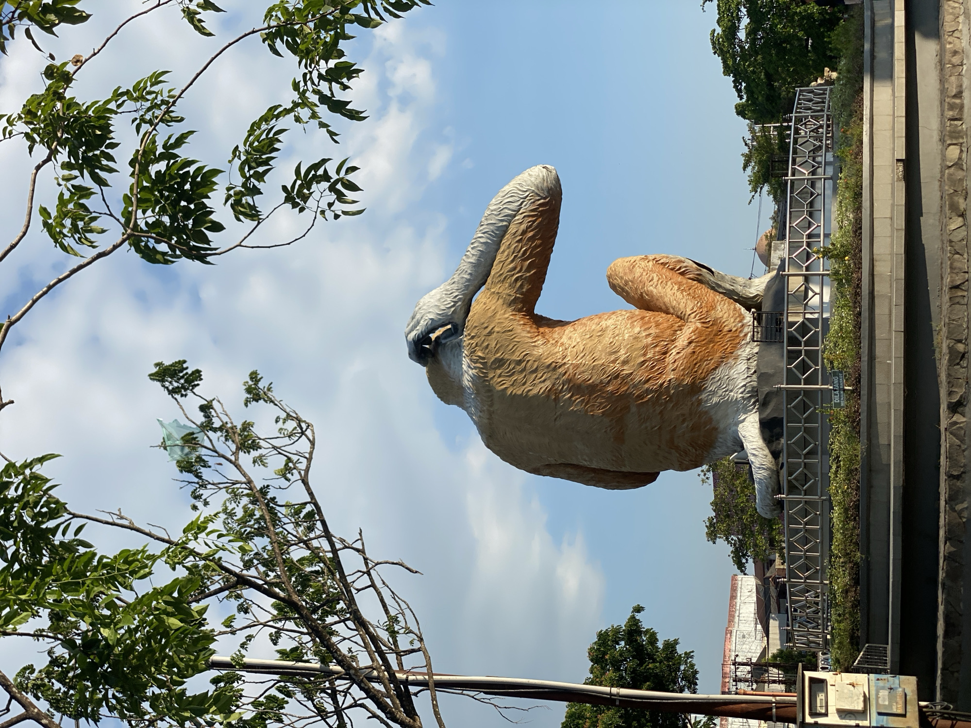 A monumental statue of a proboscis monkey is prominently featured in this outdoor daytime scene. The statue depicts the monkey from behind, in a seated position, with its right arm raised and hand touching its head, suggesting it is covering its eyes or deep in thought. The monkey is a realistic representation, with textured fur in shades of orange and brown, and white accents on its face and limbs. It is situated on a circular, multi-tiered platform surrounded by a decorative metal railing and landscaped with low green bushes and some flowering plants. In the background, a clear blue sky with scattered white clouds provides a backdrop. To the left, a tall metal pole and a tree with green leaves partially obscure the view. Beyond the statue, buildings and trees are visible, indicating an urban or semi-urban environment. A sign at the base of the statue reads "DILARANG MENAIKI MASKOT," which translates to "FORBIDDEN TO CLIMB THE MASCOT," in Indonesian. This is a view of the Proboscis Monkey Statue in Banjarmasin, Indonesia.