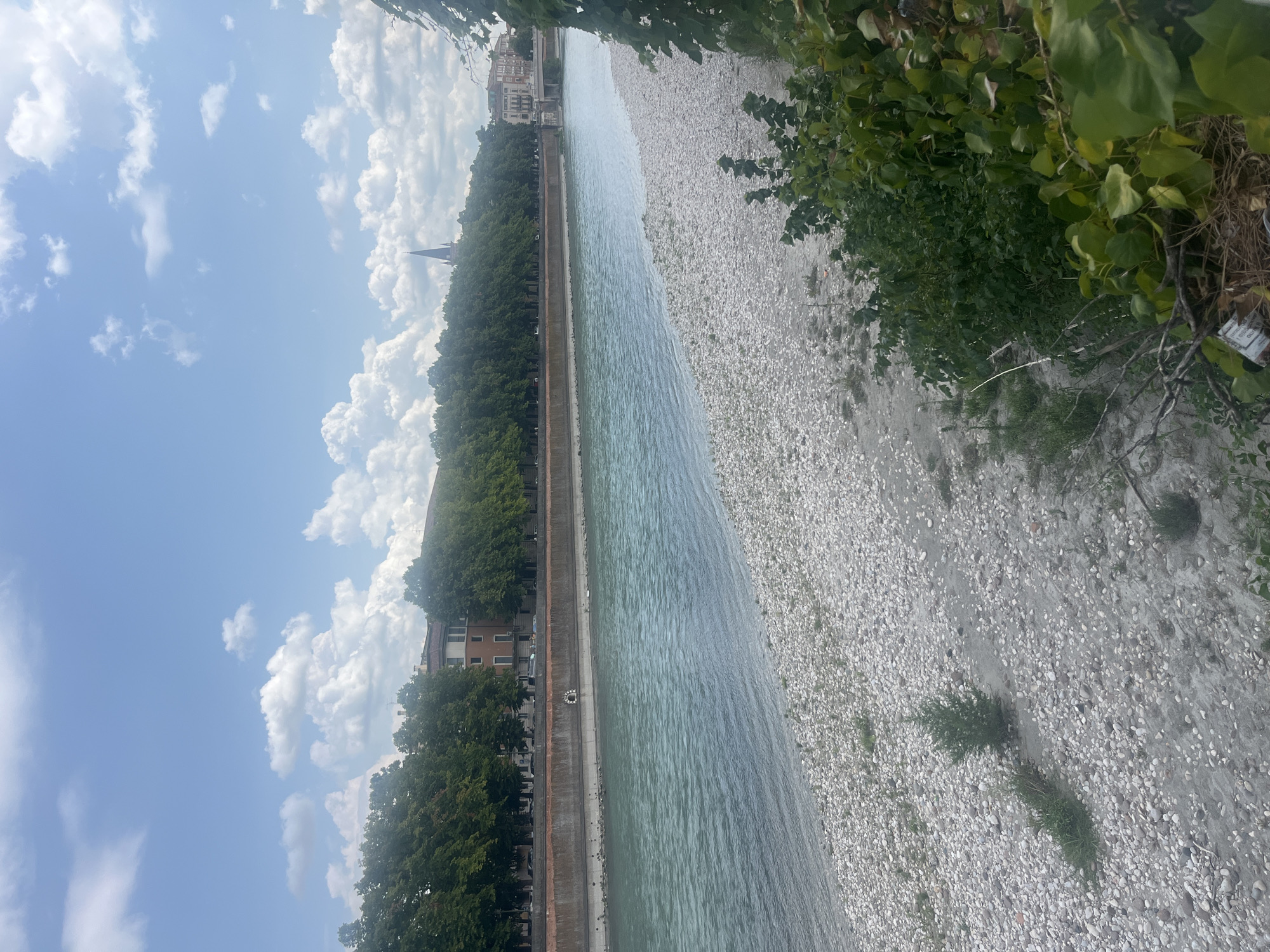 The image depicts a wide river flowing through an urban environment, likely Verona, Italy, given the architecture and vegetation. The river's water has a turquoise hue. The left bank of the river features a rocky, pebble-strewn shoreline with sparse vegetation, including small bushes and tufts of grass. Beyond the shoreline, a concrete embankment separates the river from a tree-lined promenade. Buildings, some with red brick facades and others with lighter colored walls, are visible behind the trees. A tall, slender church spire with a pointed roof rises above the trees in the distance, suggesting a historical city center. The right side of the image shows a dense cluster of green foliage, with some dried branches and debris at the bottom. The sky is blue with scattered white, fluffy clouds. The scene appears to be a public space adjacent to a river, offering a view of the cityscape and natural elements. There are no people visible in the image.