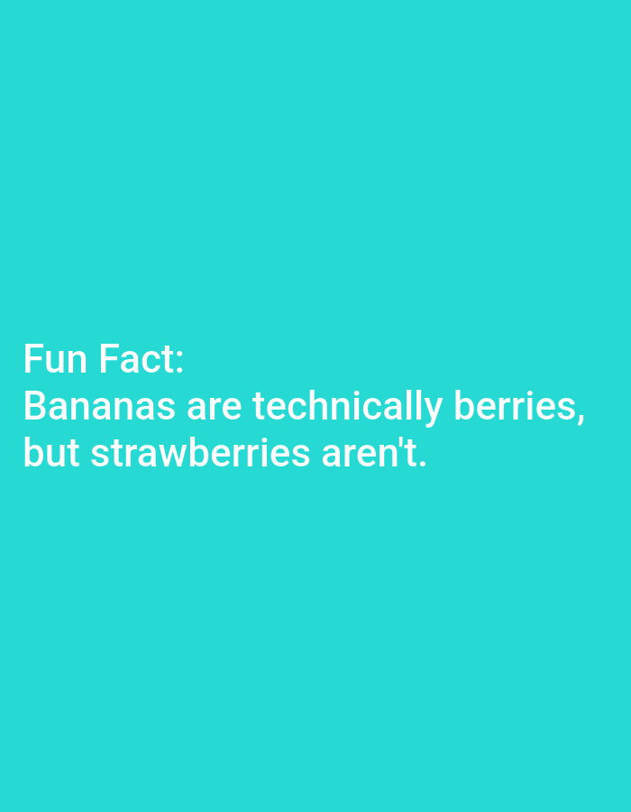 This image contains text on a solid teal background. The text reads "Fun Fact: Bananas are technically berries, but strawberries aren't." There are no people, objects, or environmental details present in the image. The location in Lagos, Nigeria is not relevant to the content of the image.