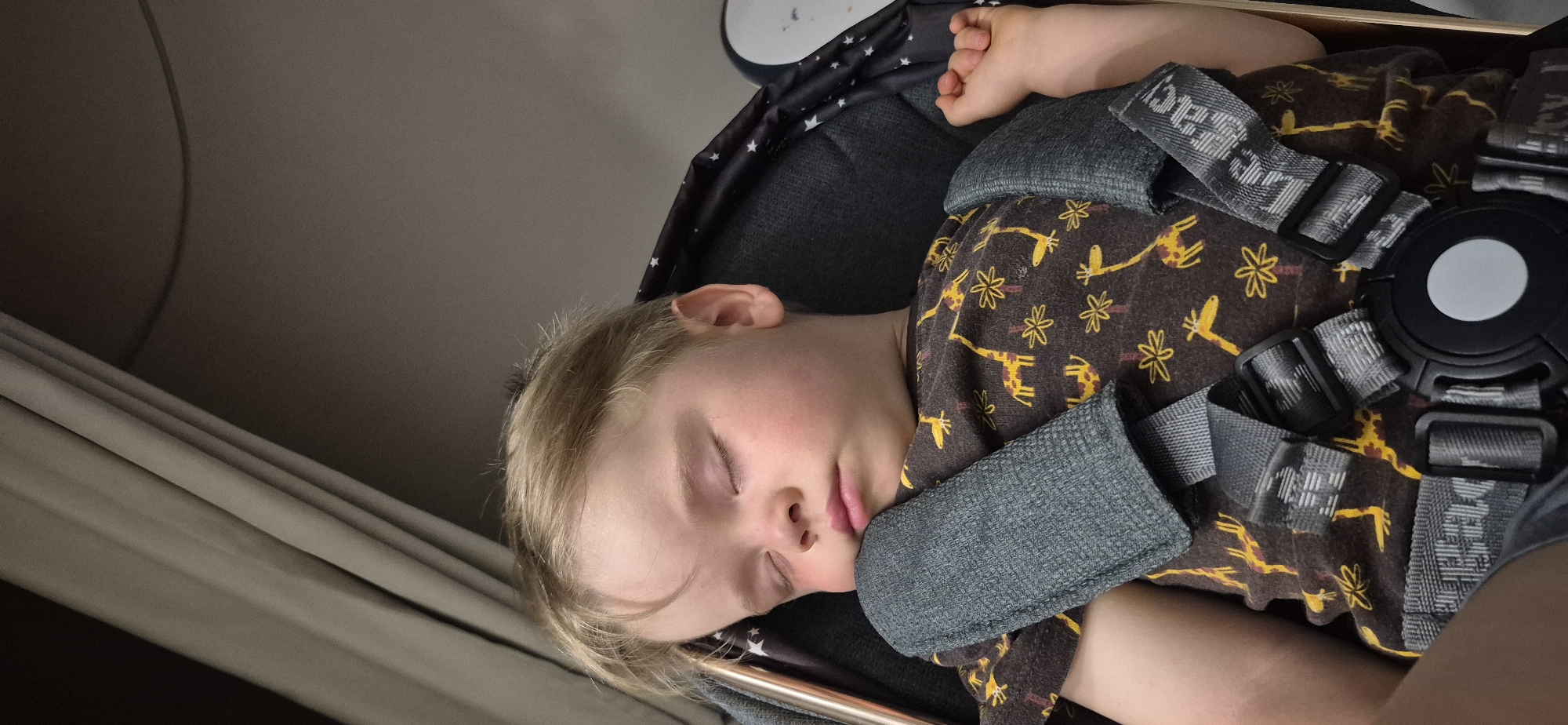 This image shows a young child sleeping, possibly in a stroller or car seat, given the harness visible. The child has blond hair and is wearing a dark brown shirt with a pattern of giraffes and flowers. The harness straps are gray and have white text that appears to be a brand name or logo, though it's difficult to read clearly. A padded gray rest is positioned near the child's face, likely for comfort. The background is indistinct, with a dark, possibly metallic, surface above and a beige curtain to the left. The lighting suggests it might be daytime, but the setting is not clearly identifiable. The child appears peaceful and deeply asleep, with eyes closed and a relaxed posture.