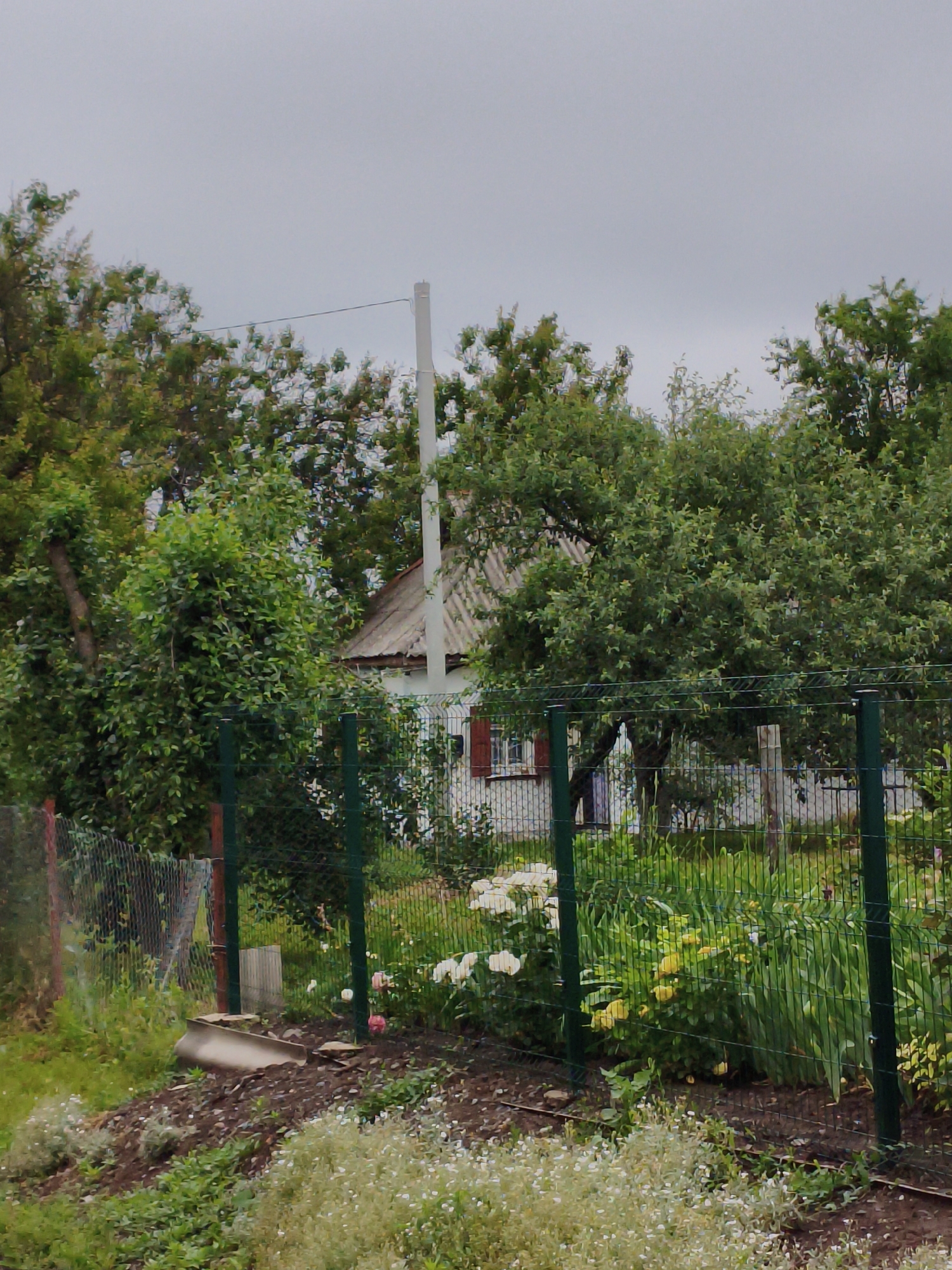 The image shows a rural scene in Ustyvytsia, Ukraine, with a white house in the background, partially obscured by trees. A green metal fence runs across the foreground, enclosing a garden area with blooming flowers, including white and yellow varieties, and lush green foliage. In front of the fence, there is a patch of dark soil with some scattered small white flowers. A light-colored pole with a wire extending from it is visible behind the trees. The sky is overcast and appears gray. The general impression is one of a residential backyard or garden in a temperate climate, likely during the daytime.