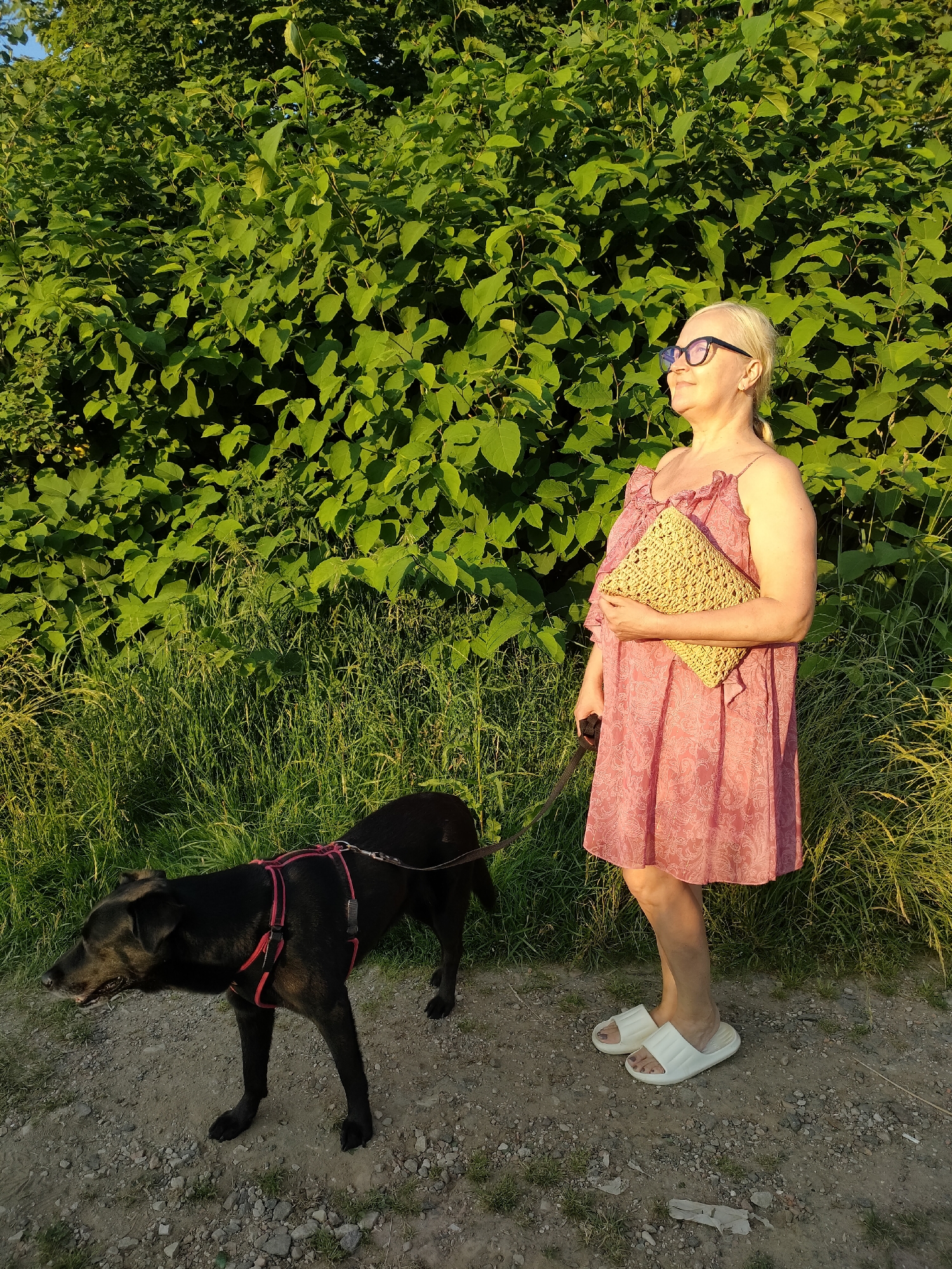 A woman and a black dog are walking on a gravel path. The woman is wearing a pink patterned dress, white slides, and glasses. She is holding a woven clutch. The dog is wearing a red harness. Behind them is a dense green bush and tall grass. The sun is shining, casting shadows, suggesting it is either morning or late afternoon. The setting appears to be a natural outdoor area, possibly a park or recreational spot. The overall mood is relaxed and peaceful. No visible text is present in the image.